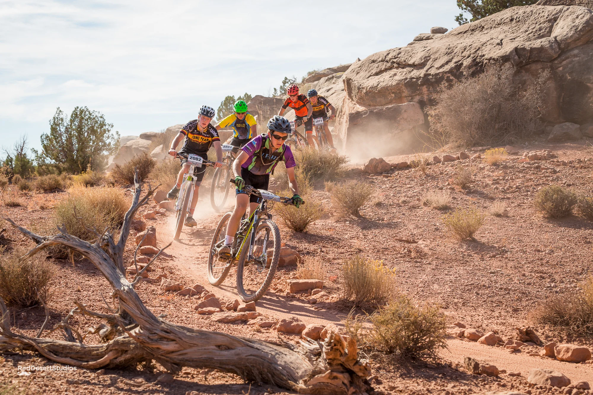 2518 Web (2 of 3).JPG