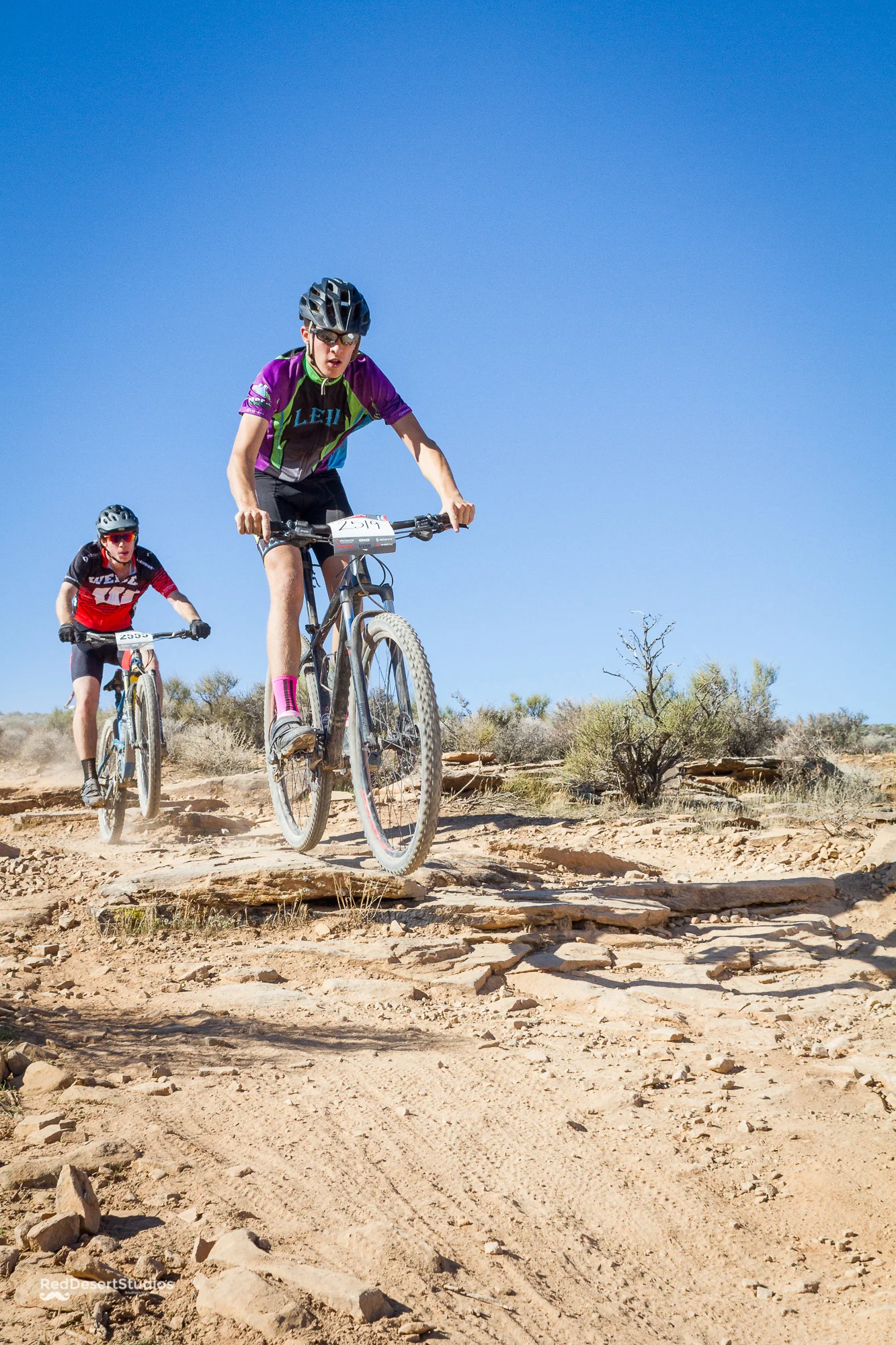 2519 Web (7 of 7).JPG