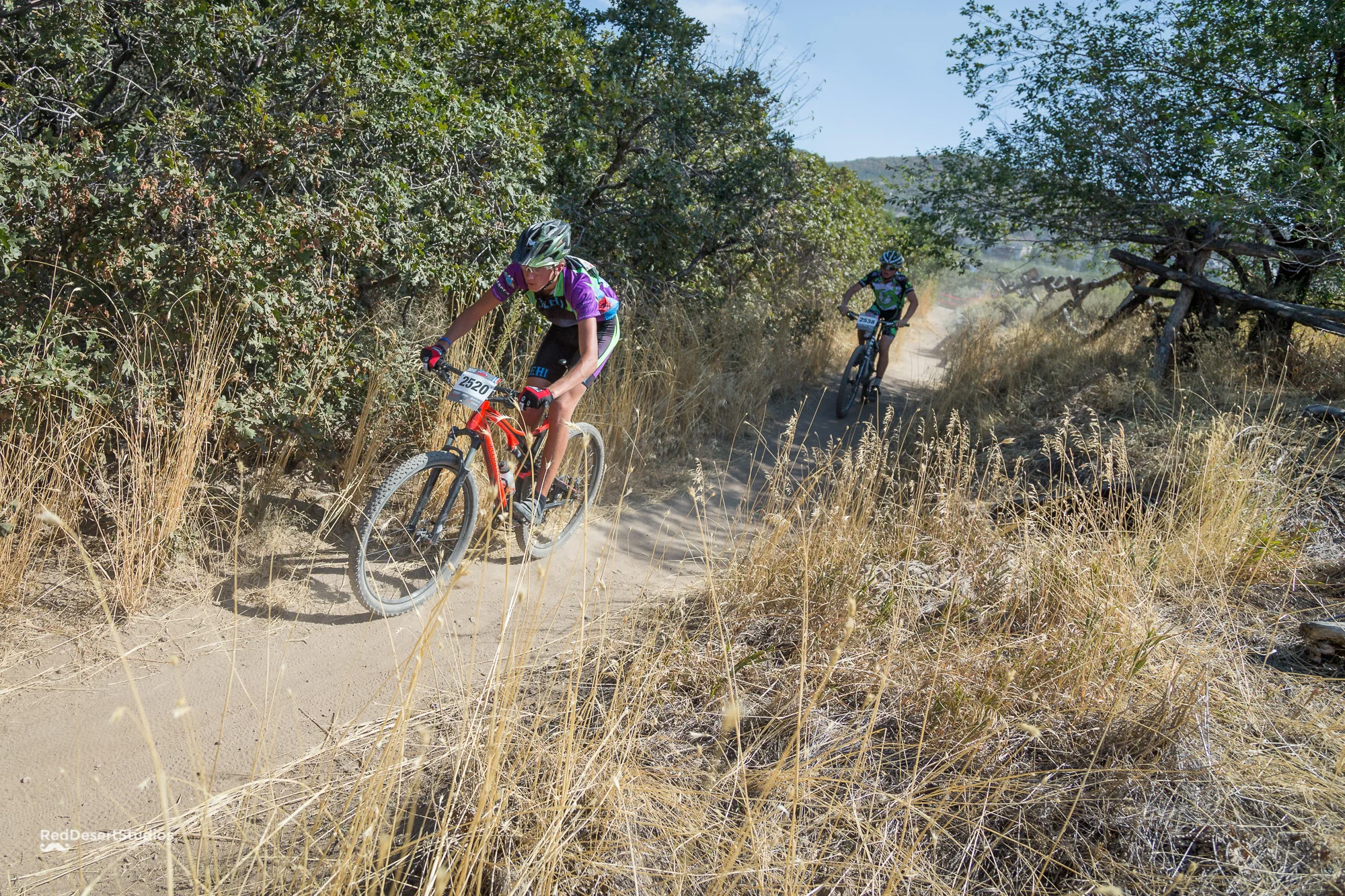 2520 Web (2 of 5).JPG