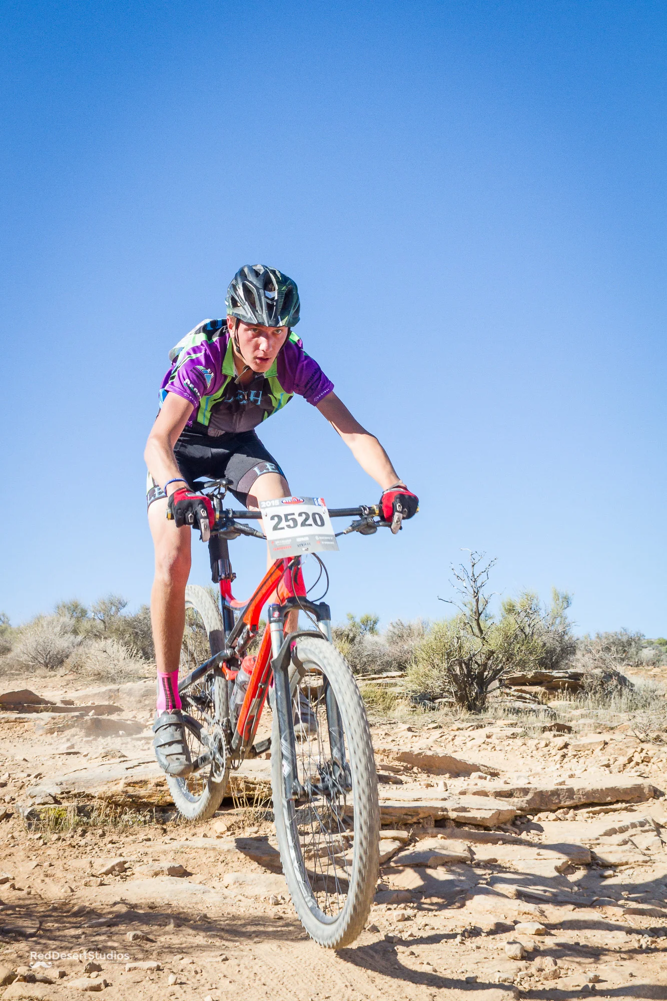 2520 Web (5 of 5).JPG