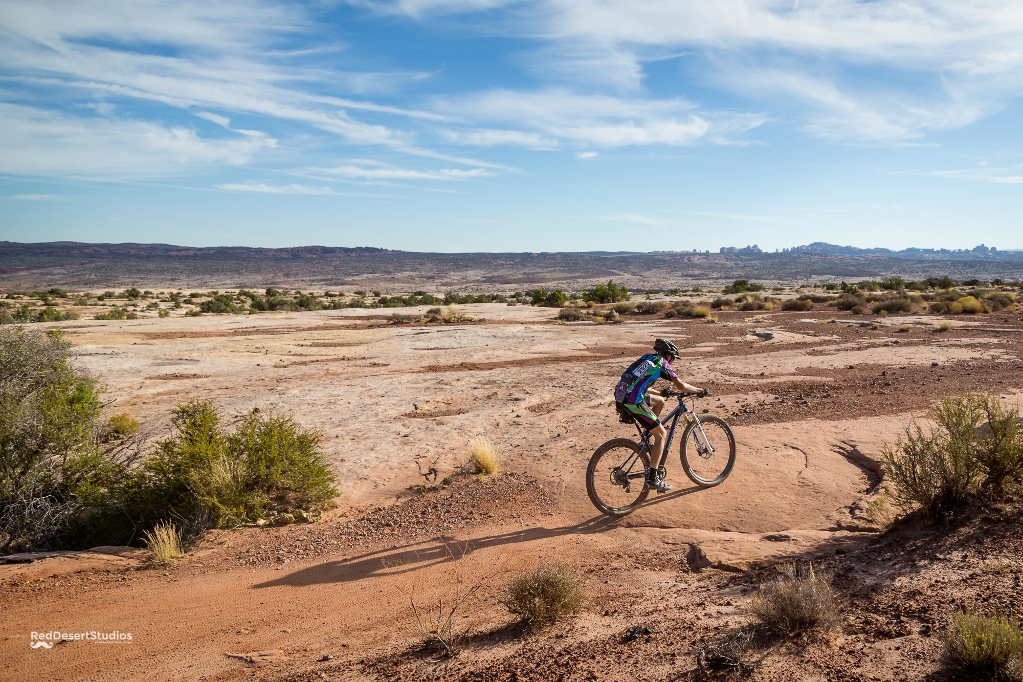 2522 Web (2 of 5).JPG