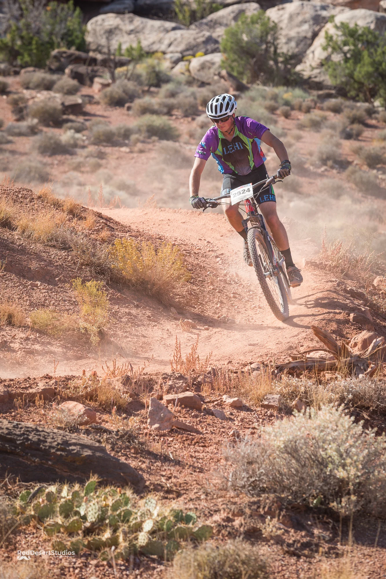 2524 Web (3 of 3).JPG