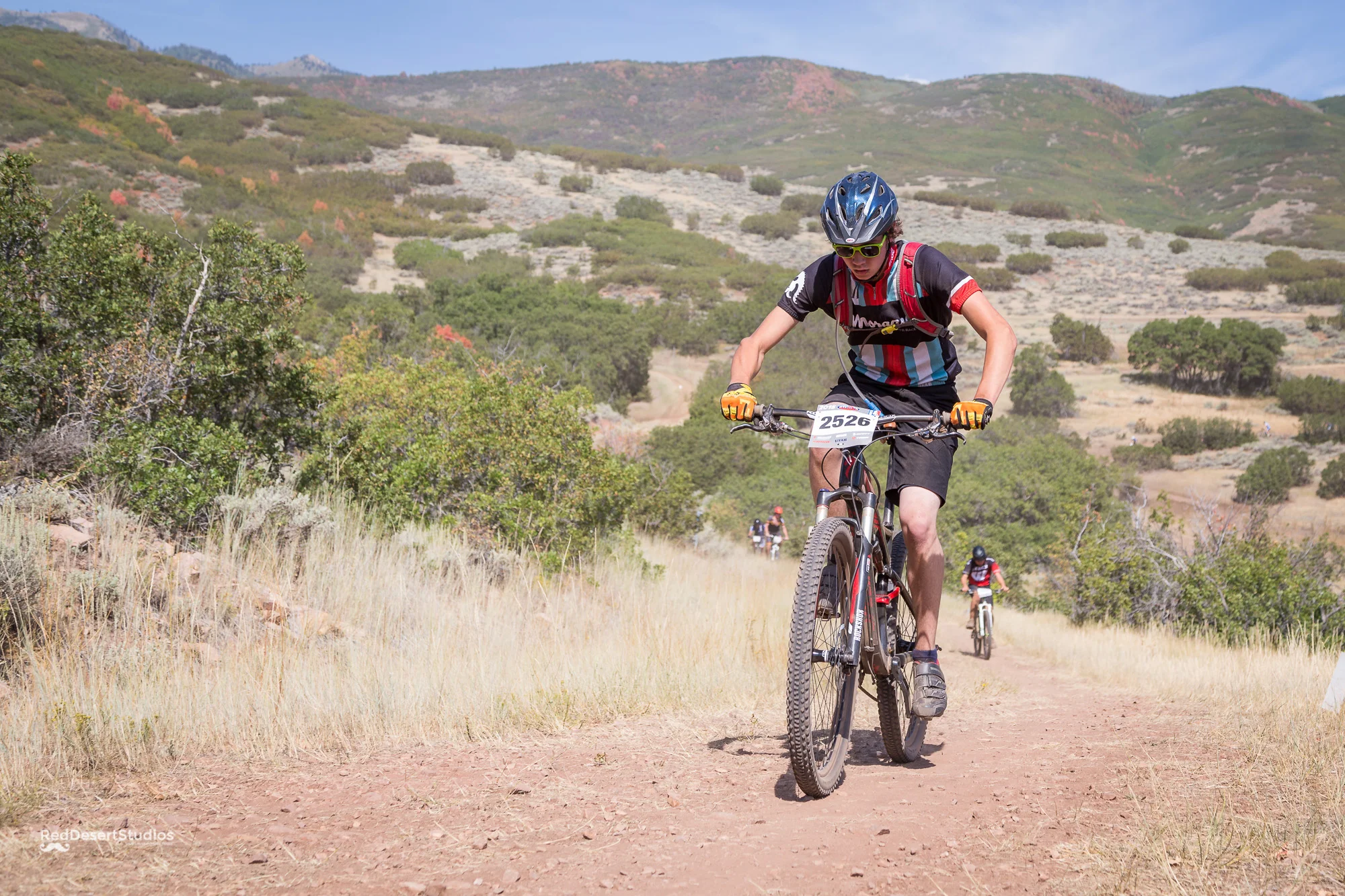 2526 Web (1 of 3).JPG