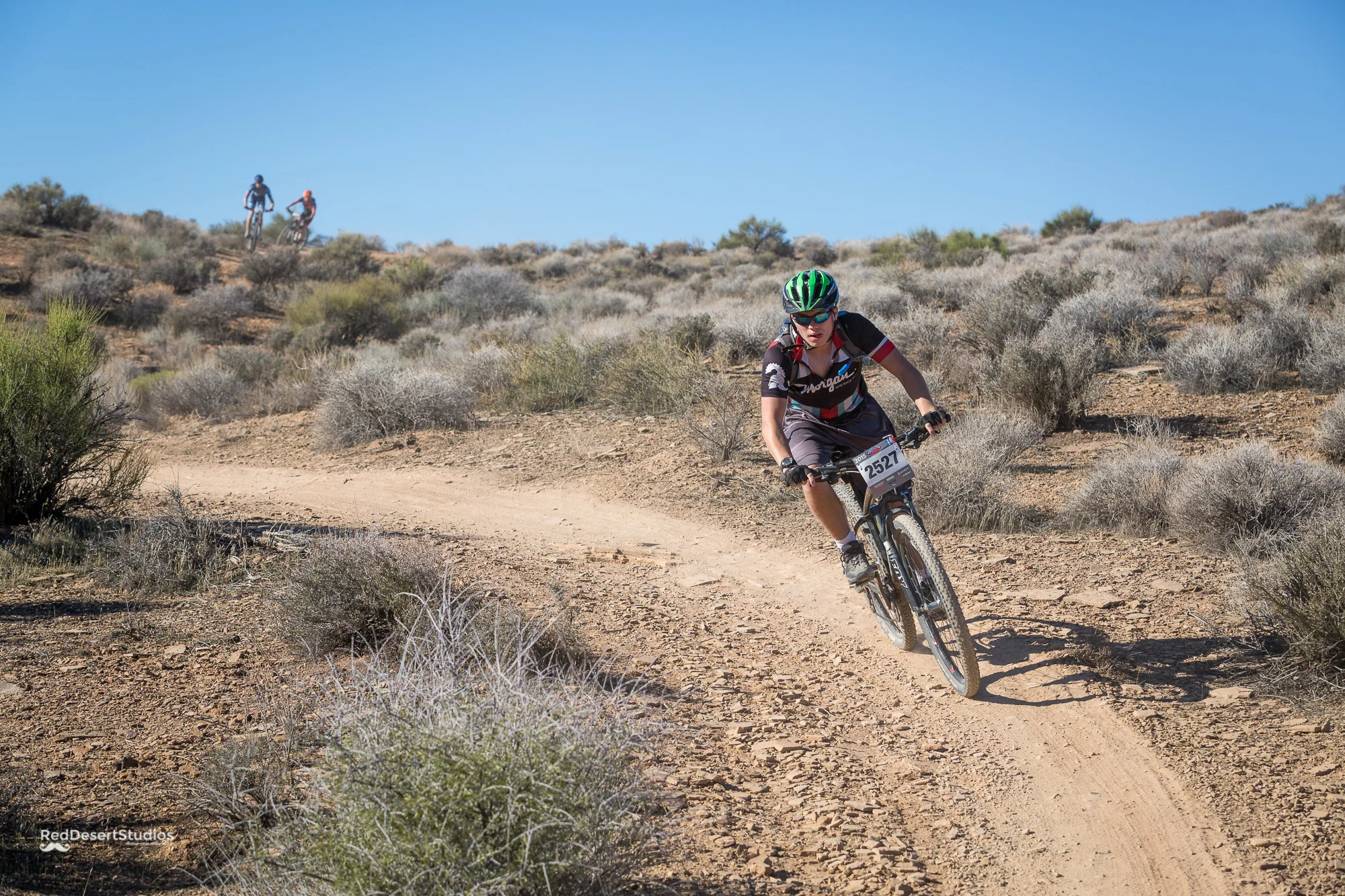 2527 Web (4 of 5).JPG