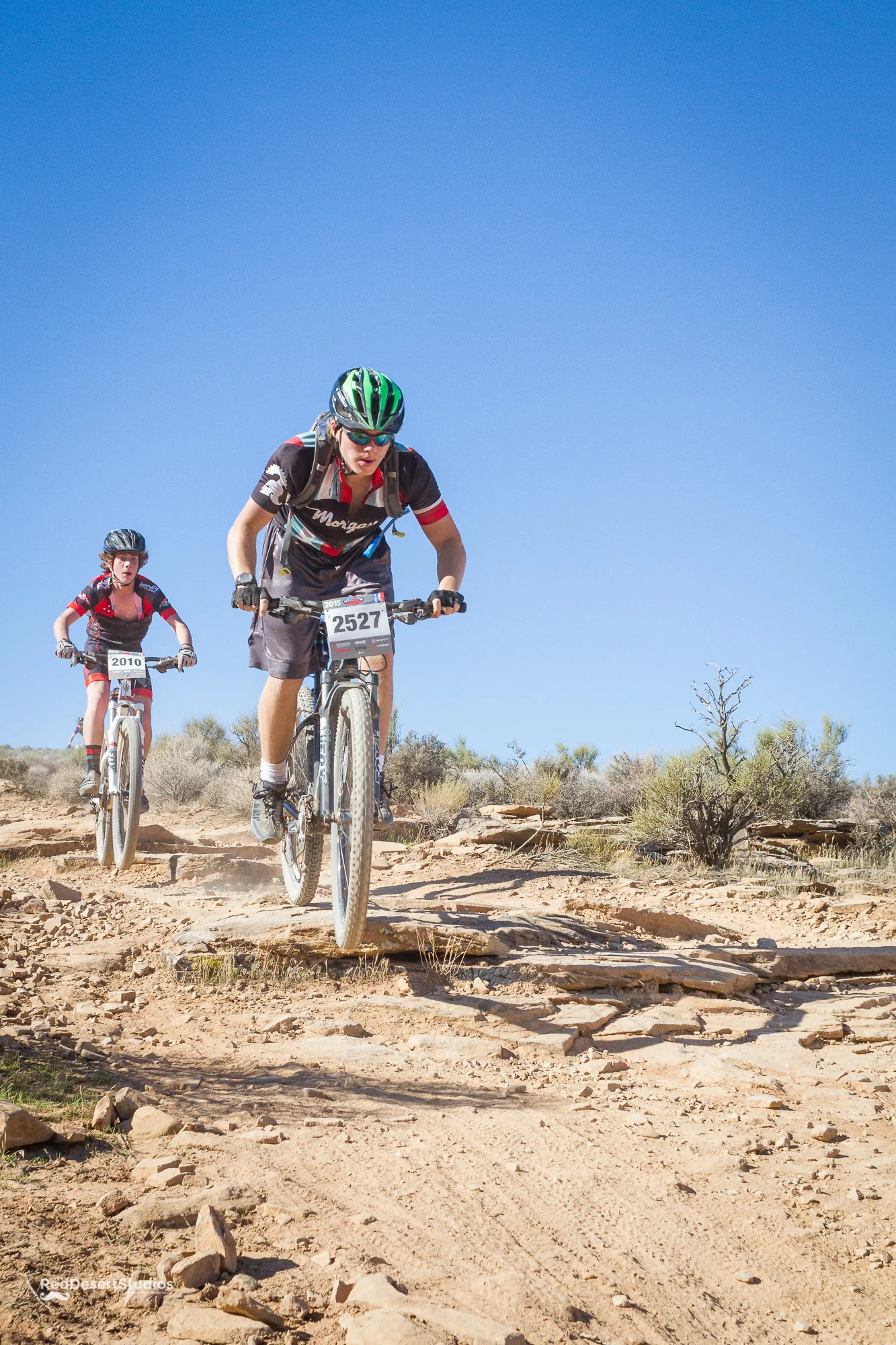 2527 Web (5 of 5).JPG