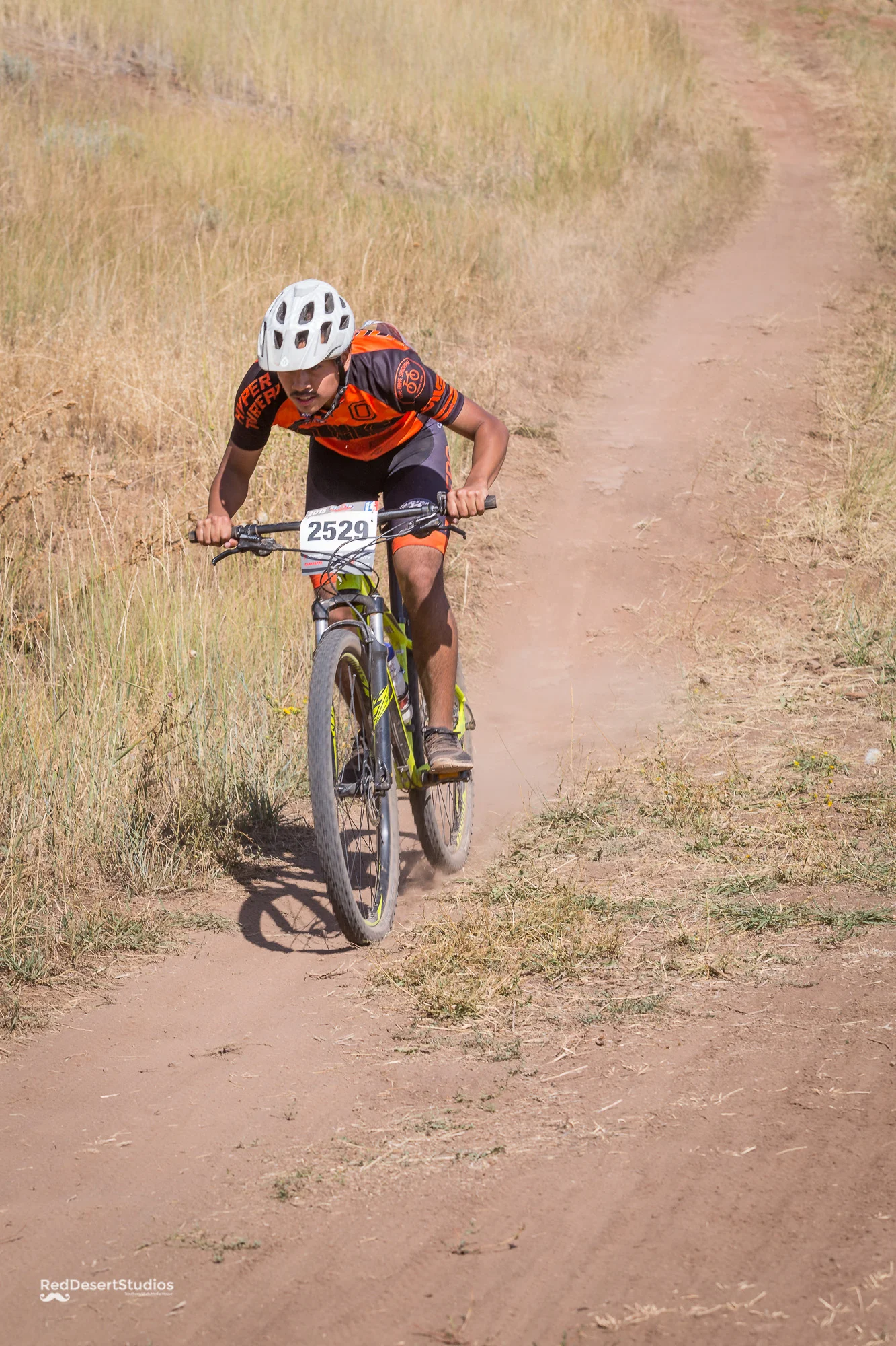 2529 Web (2 of 7).JPG