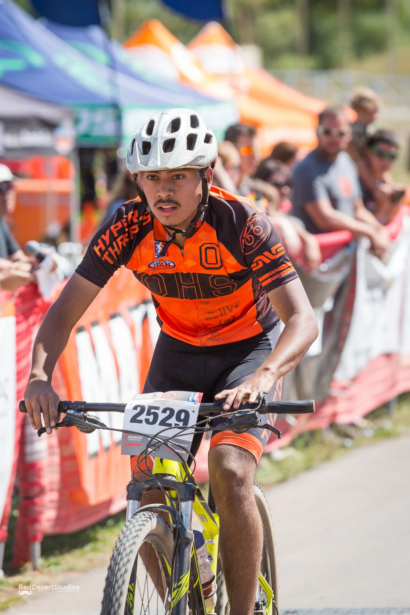 2529 Web (4 of 7).JPG