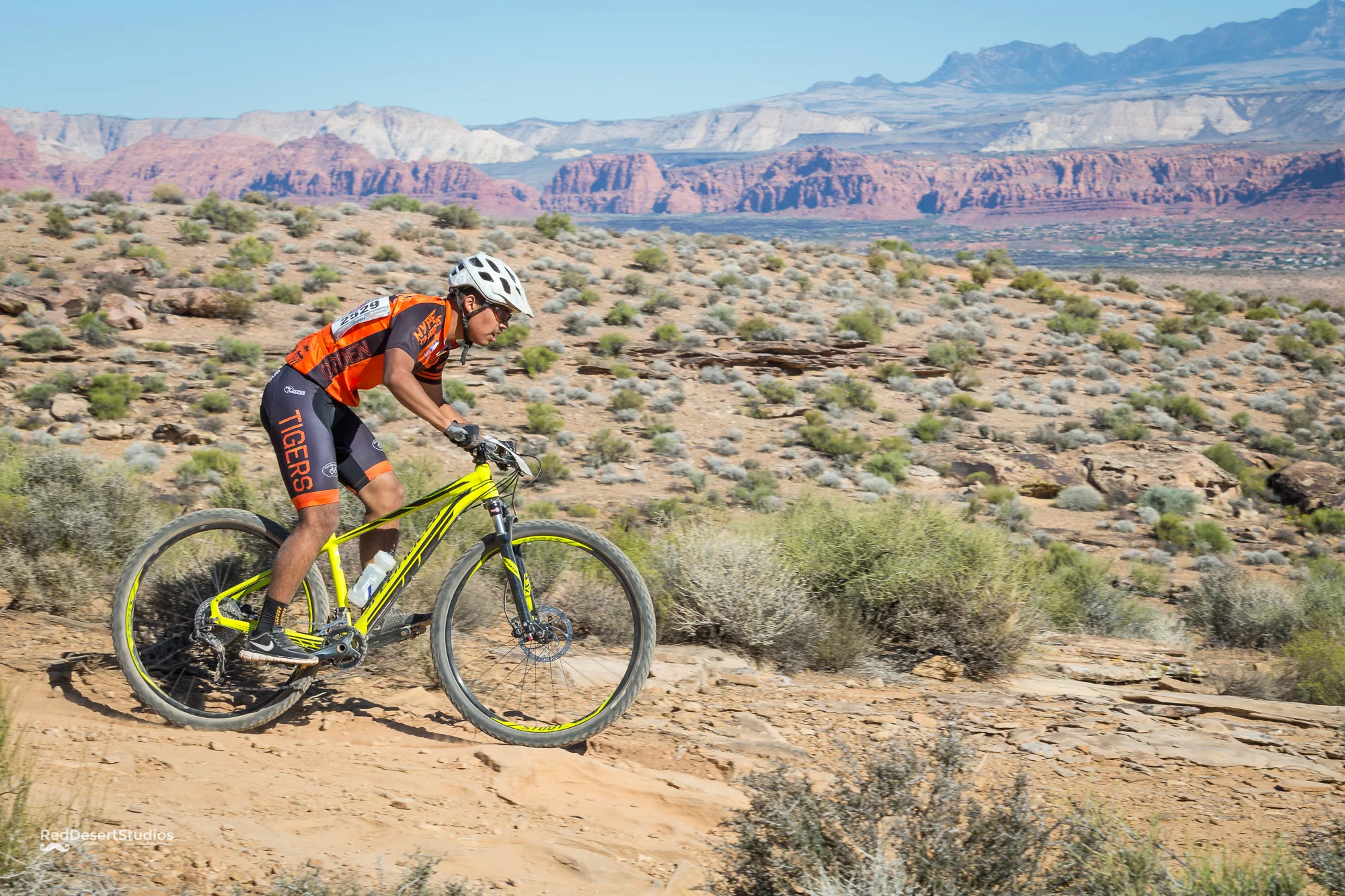 2529 Web (6 of 7).JPG