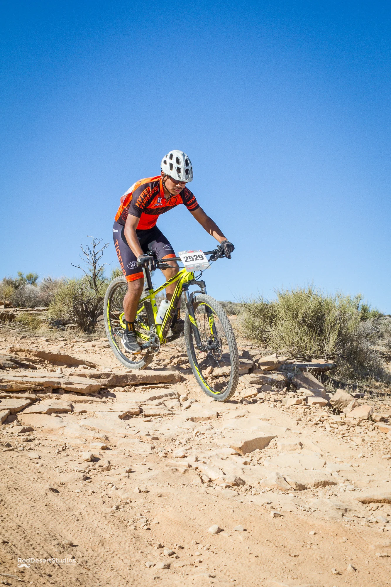 2529 Web (7 of 7).JPG