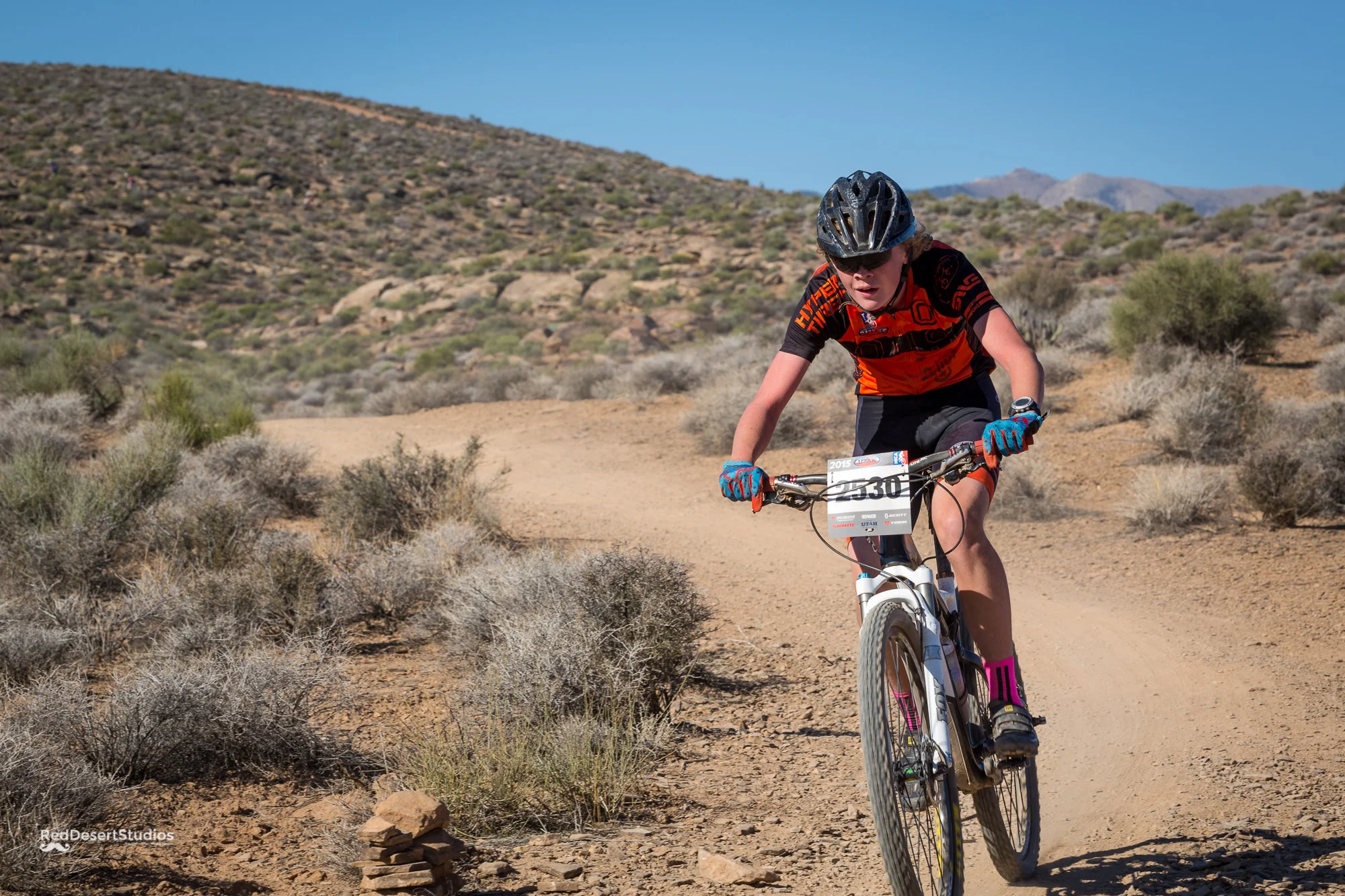 2530 Web (4 of 5).JPG