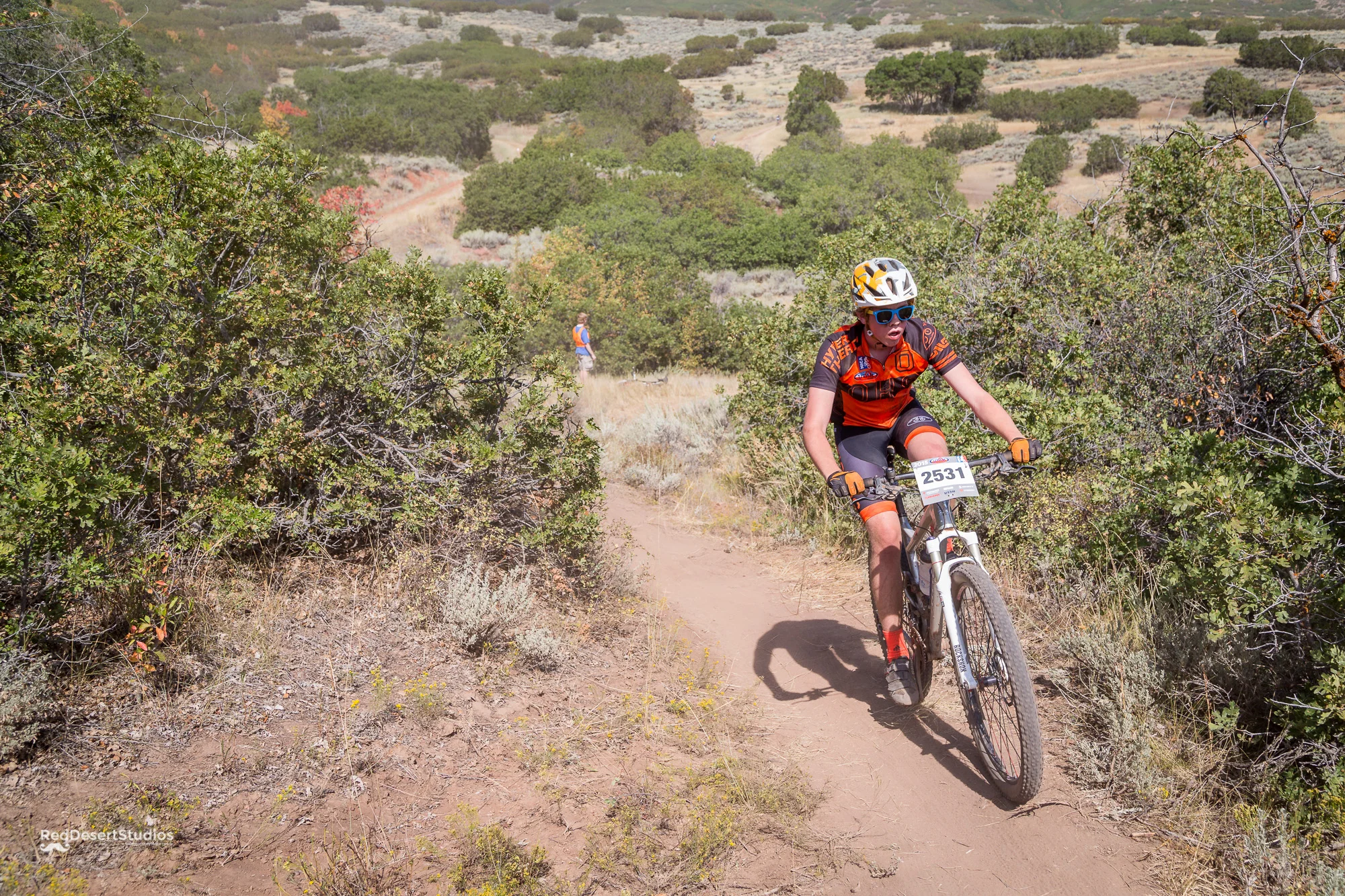 2531 Web (1 of 2).JPG