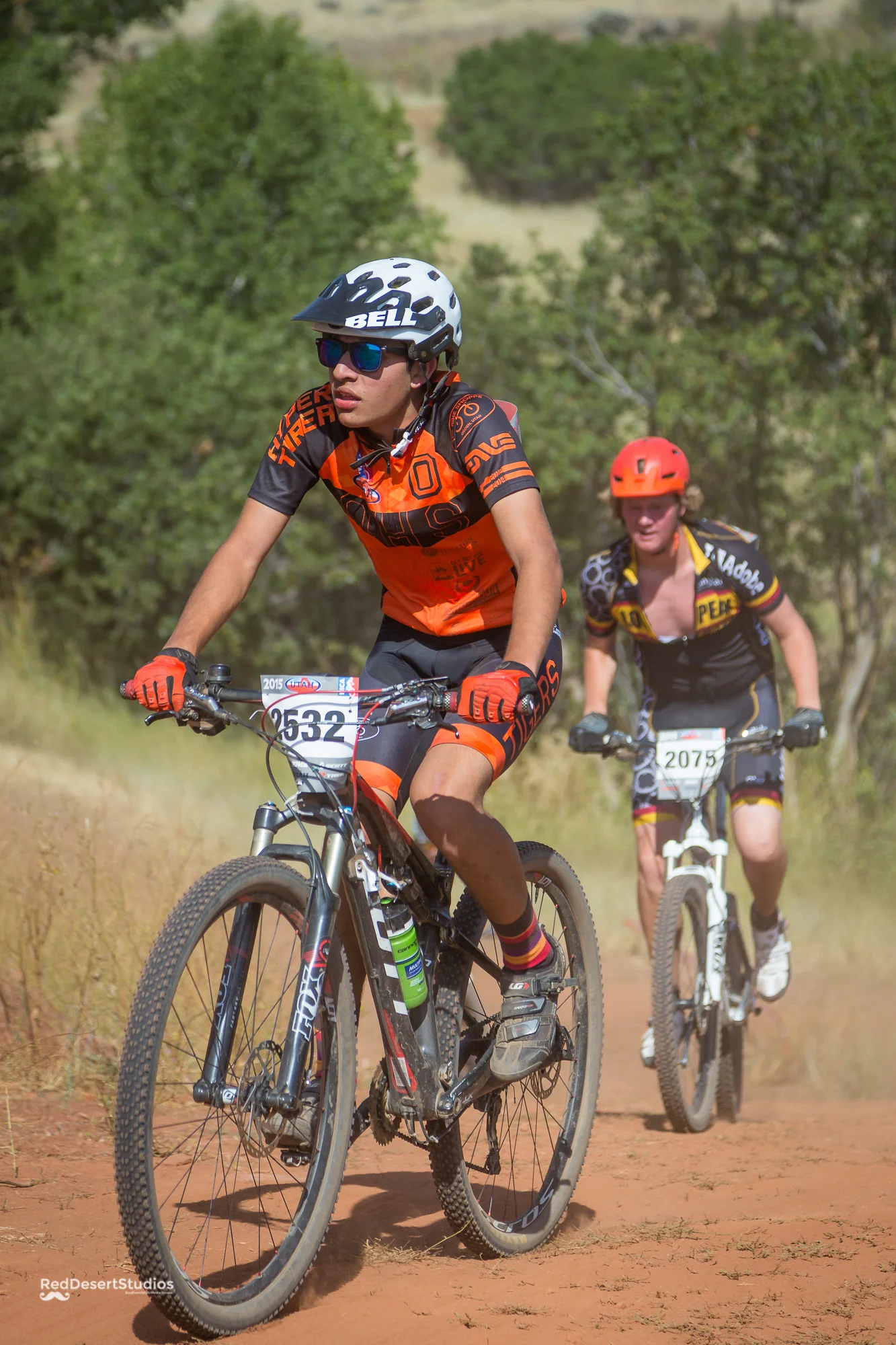 2532 Web (1 of 5).JPG