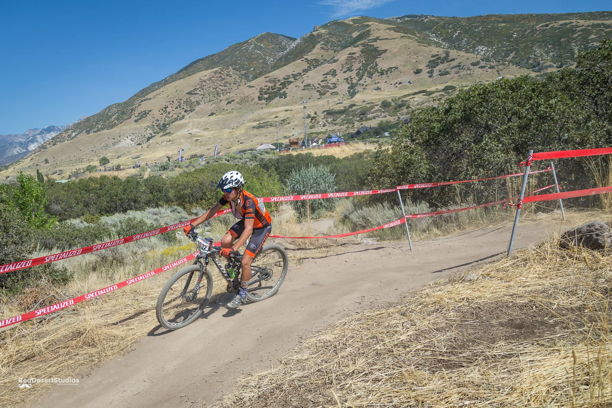 2532 Web (3 of 5).JPG