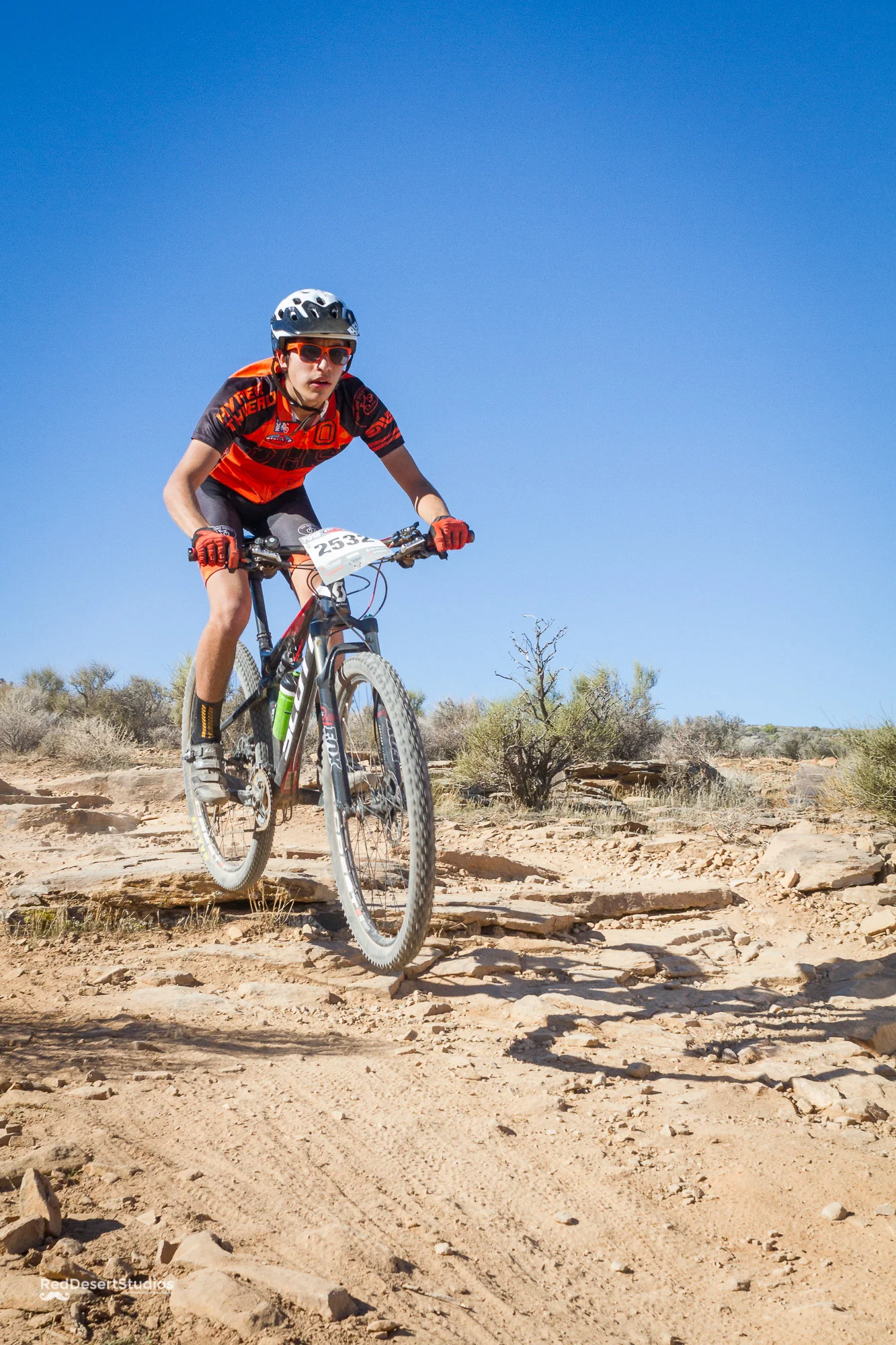 2532 Web (5 of 5).JPG