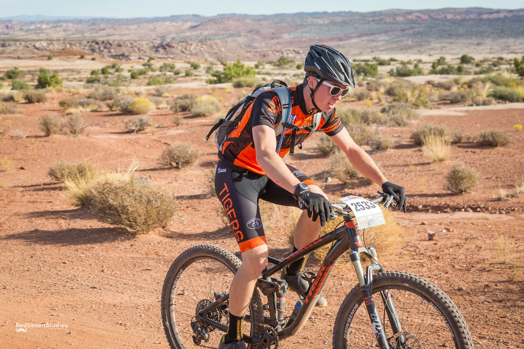 2533 Web (2 of 2).JPG