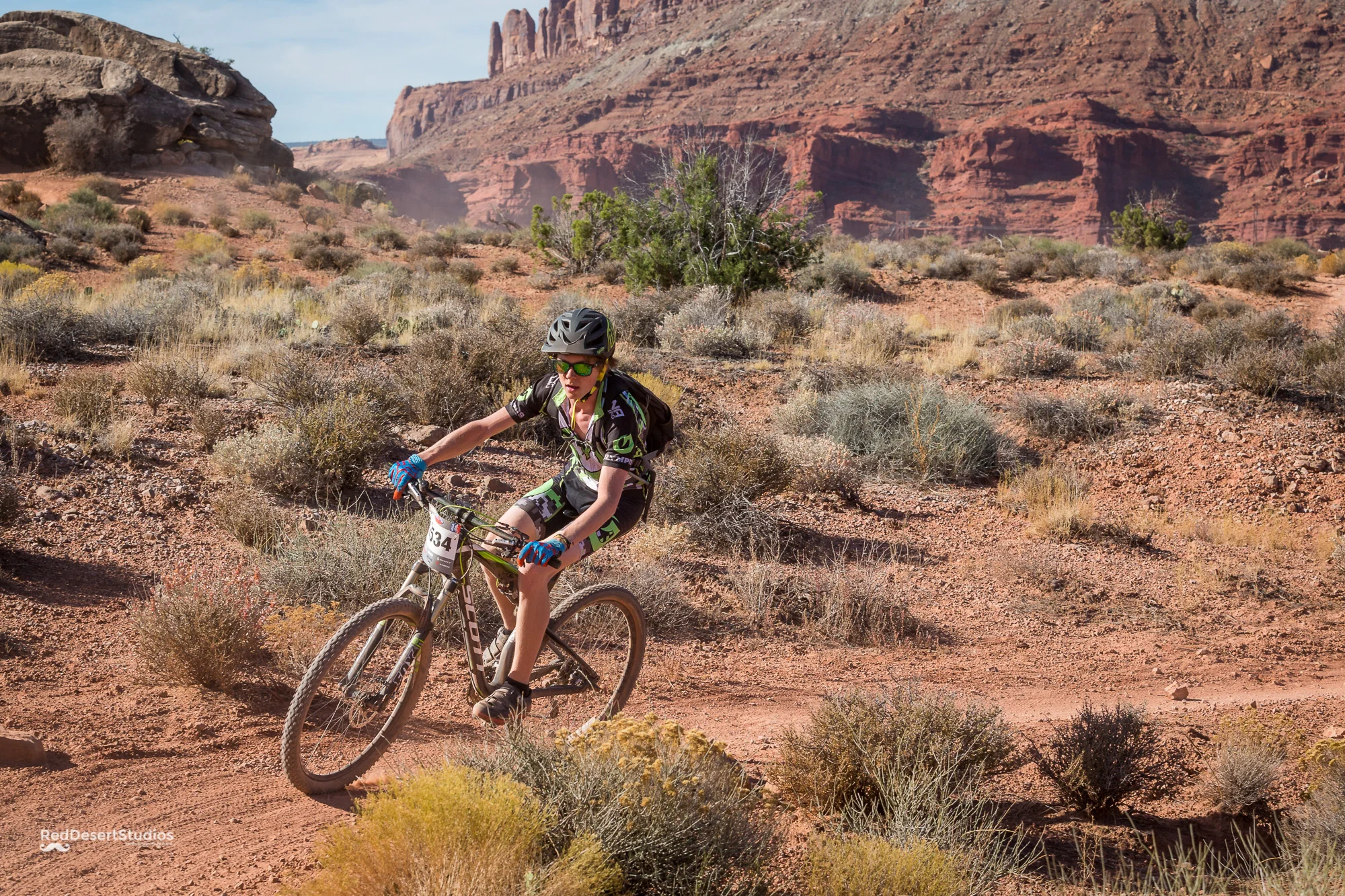 2534 Web (3 of 4).JPG