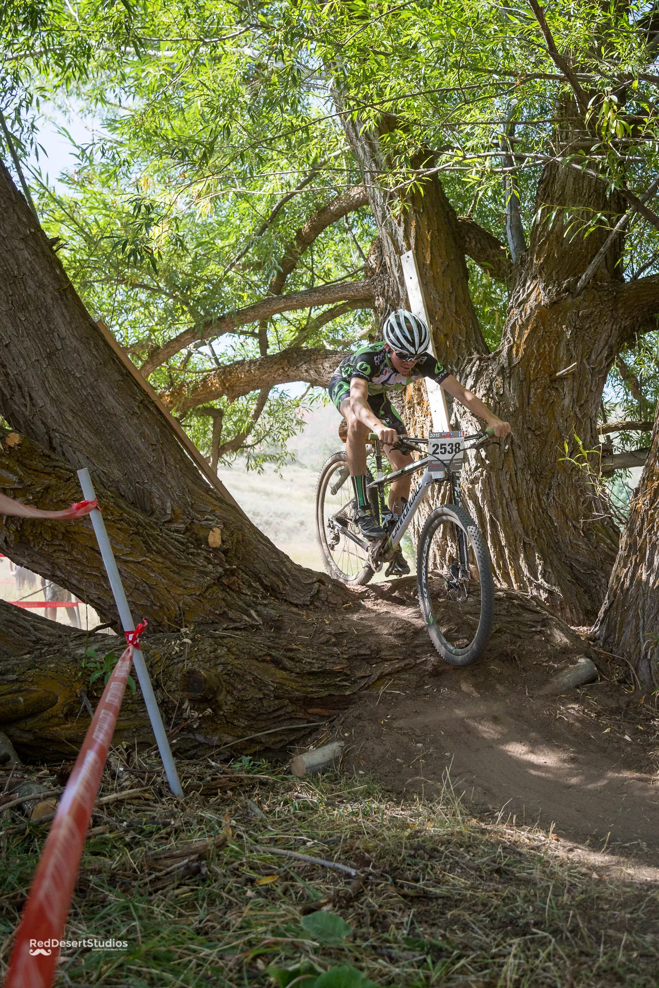 2538 Web (2 of 6).JPG