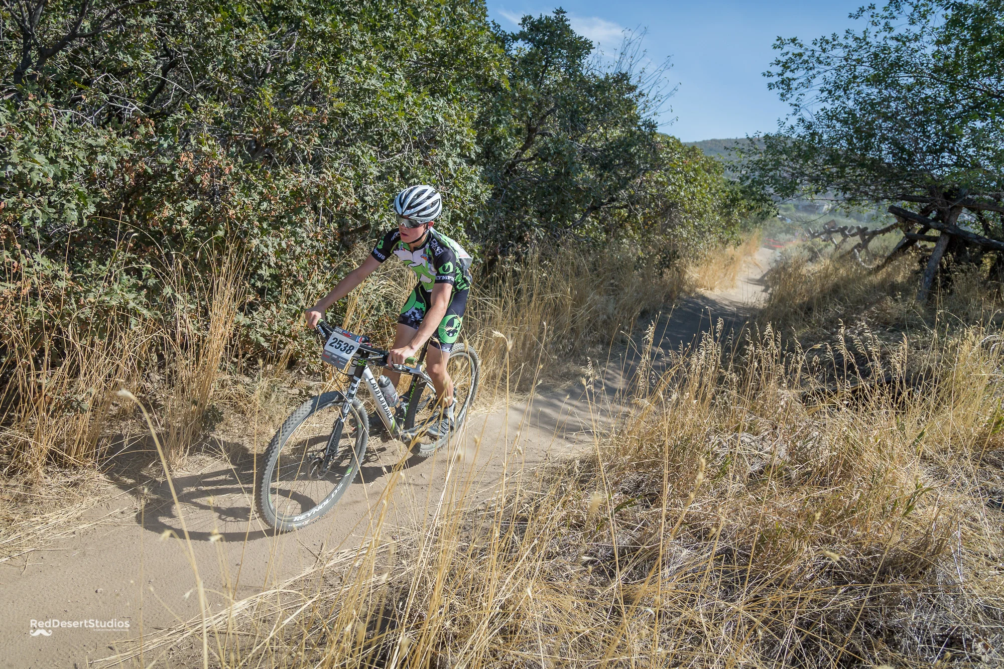 2538 Web (3 of 6).JPG