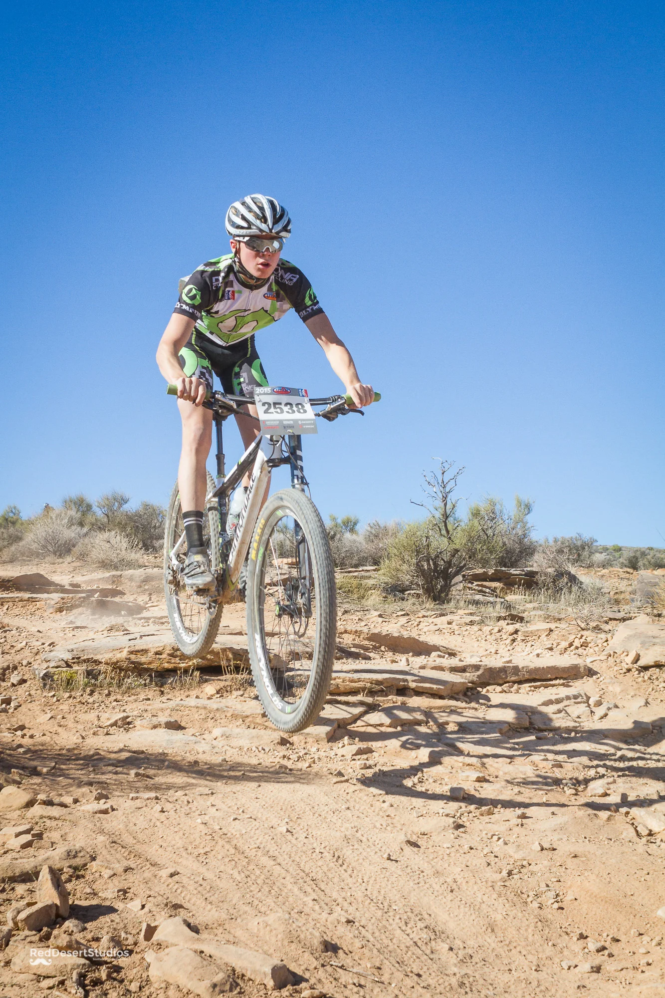 2538 Web (6 of 6).JPG