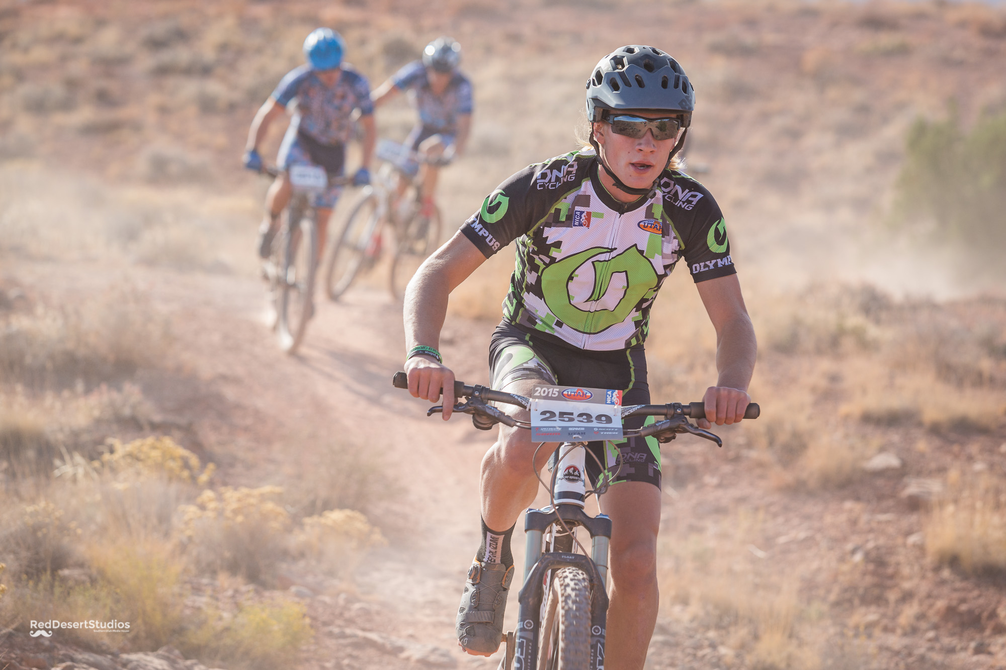 2539 Web (1 of 3).JPG