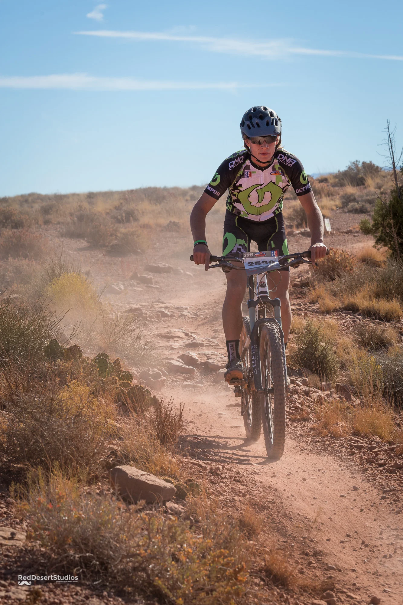 2539 Web (2 of 3).JPG