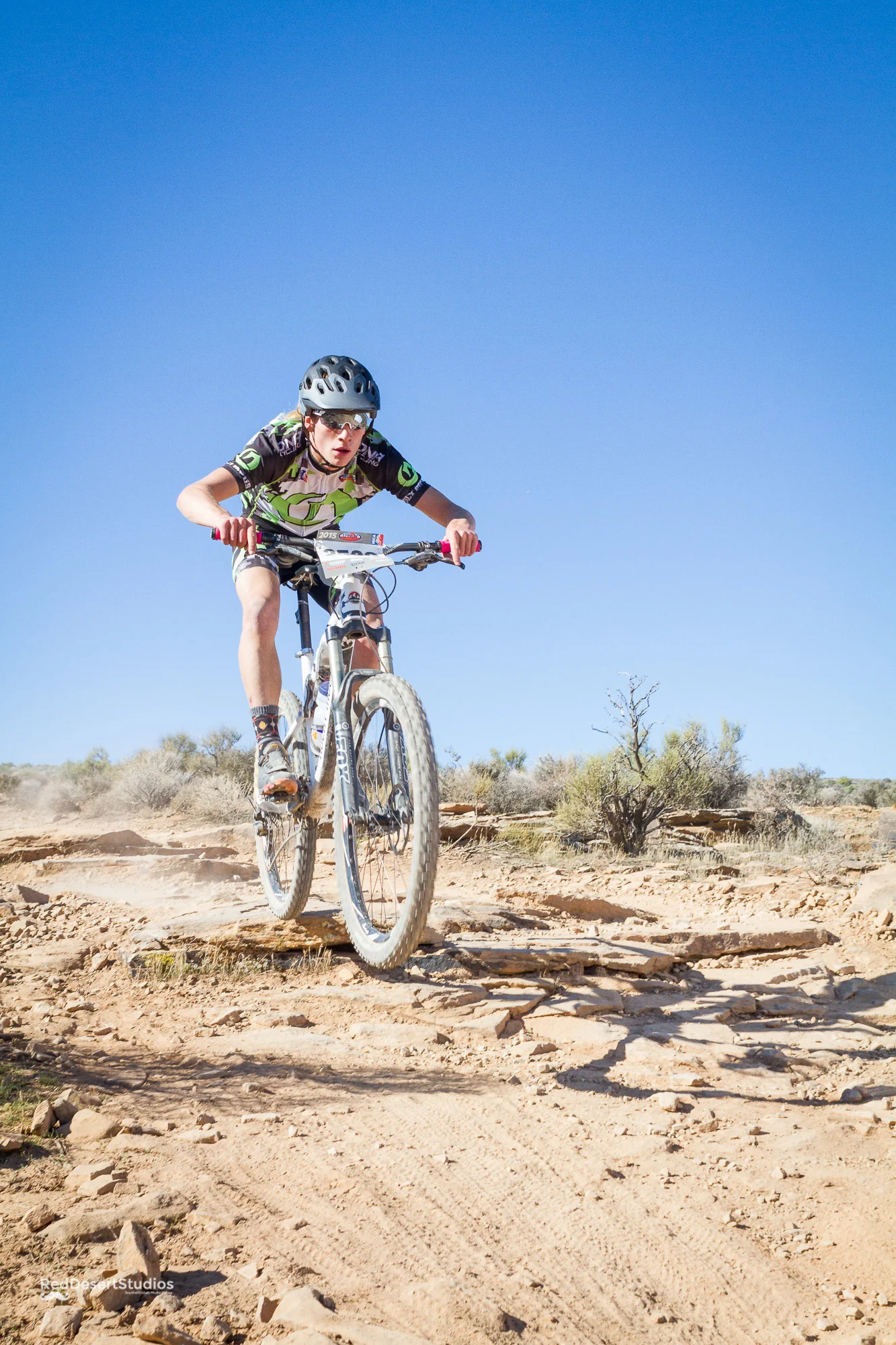 2539 Web (3 of 3).JPG