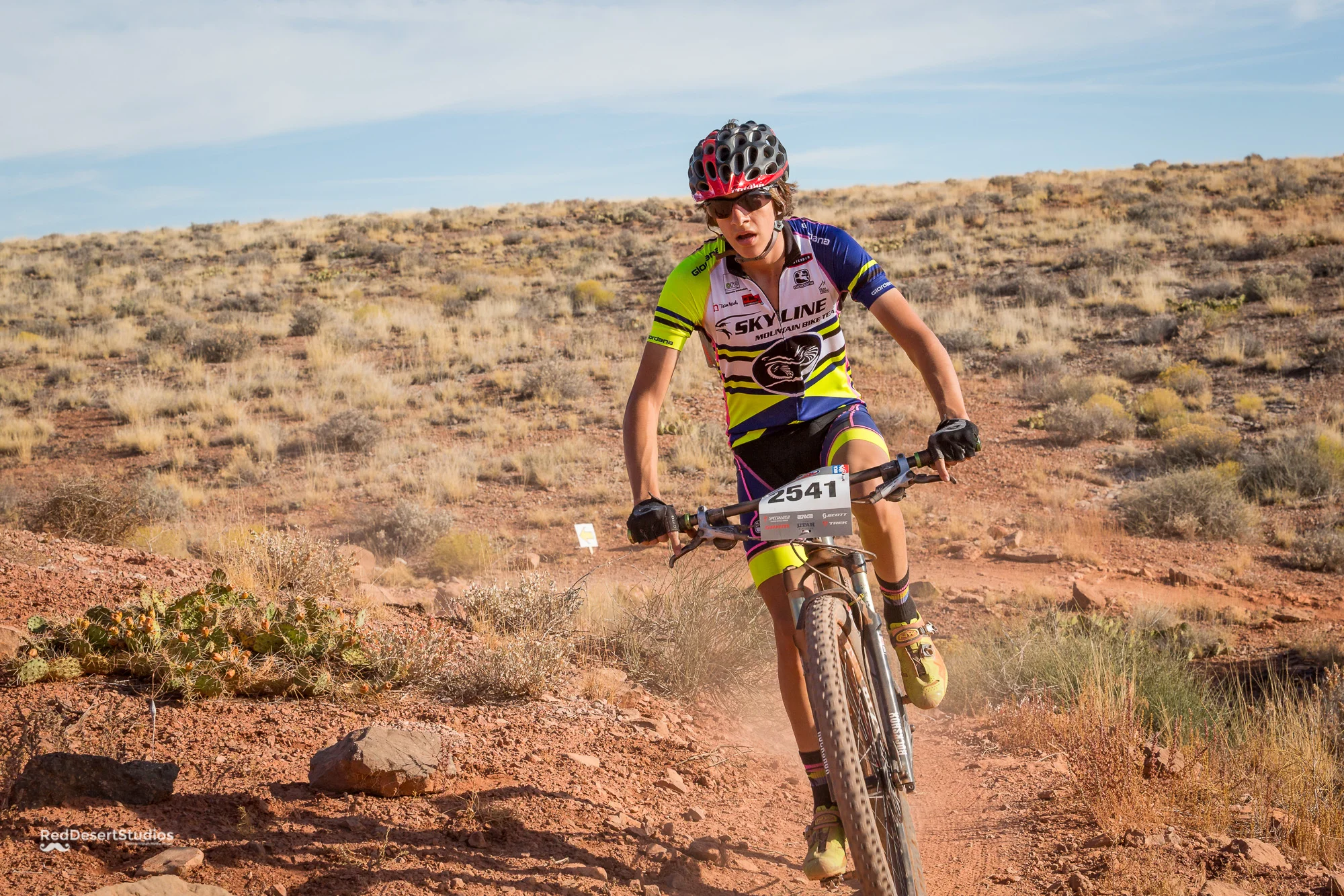 2541 Web (2 of 4).JPG