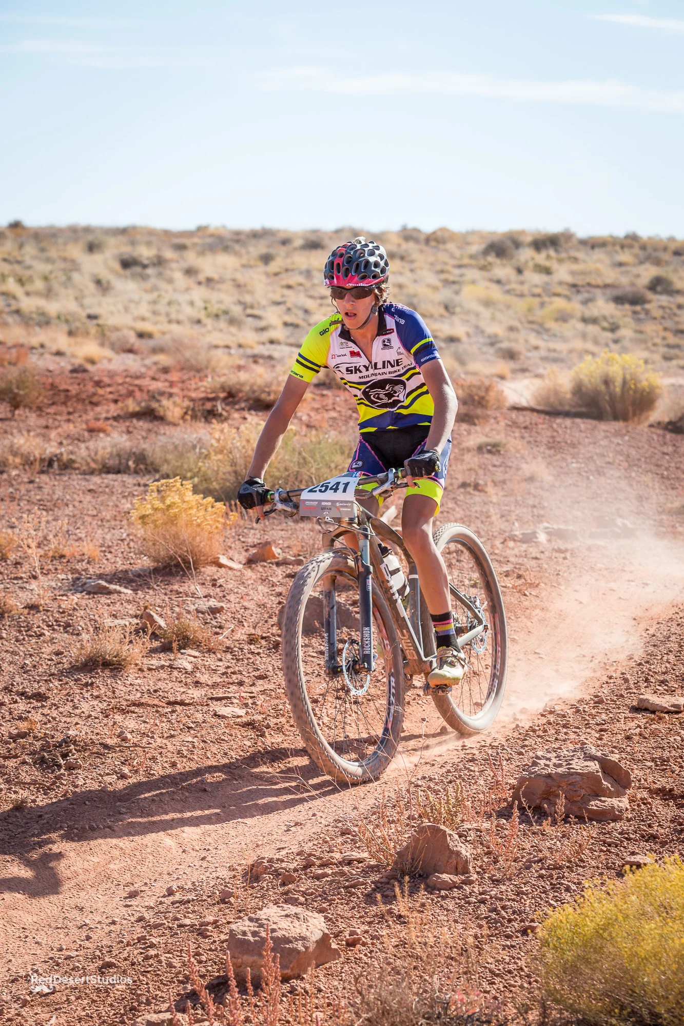 2541 Web (3 of 4).JPG