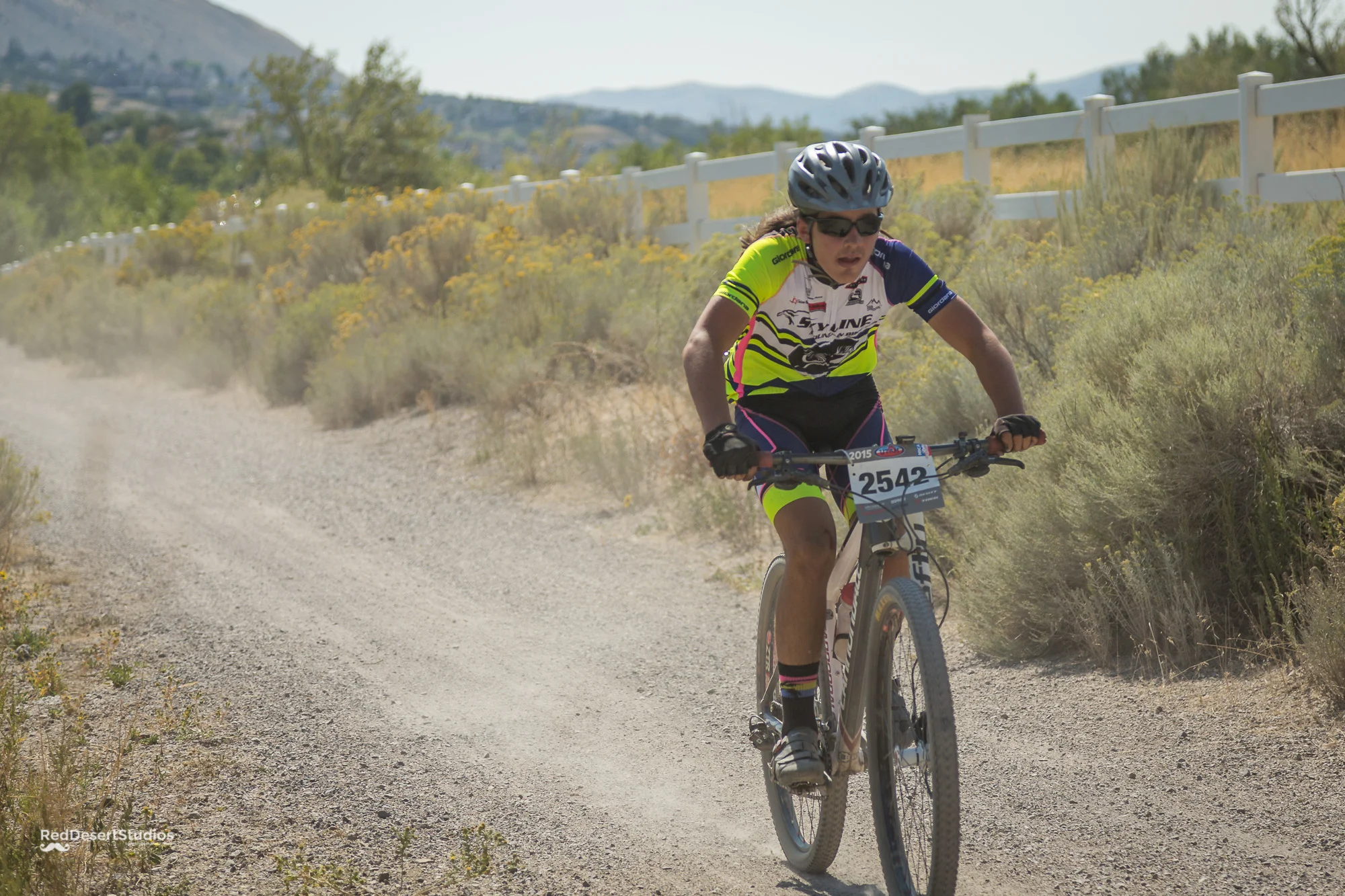 2542 Web (2 of 4).JPG