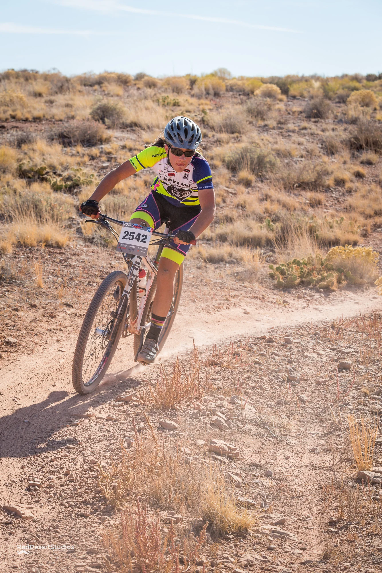 2542 Web (4 of 4).JPG