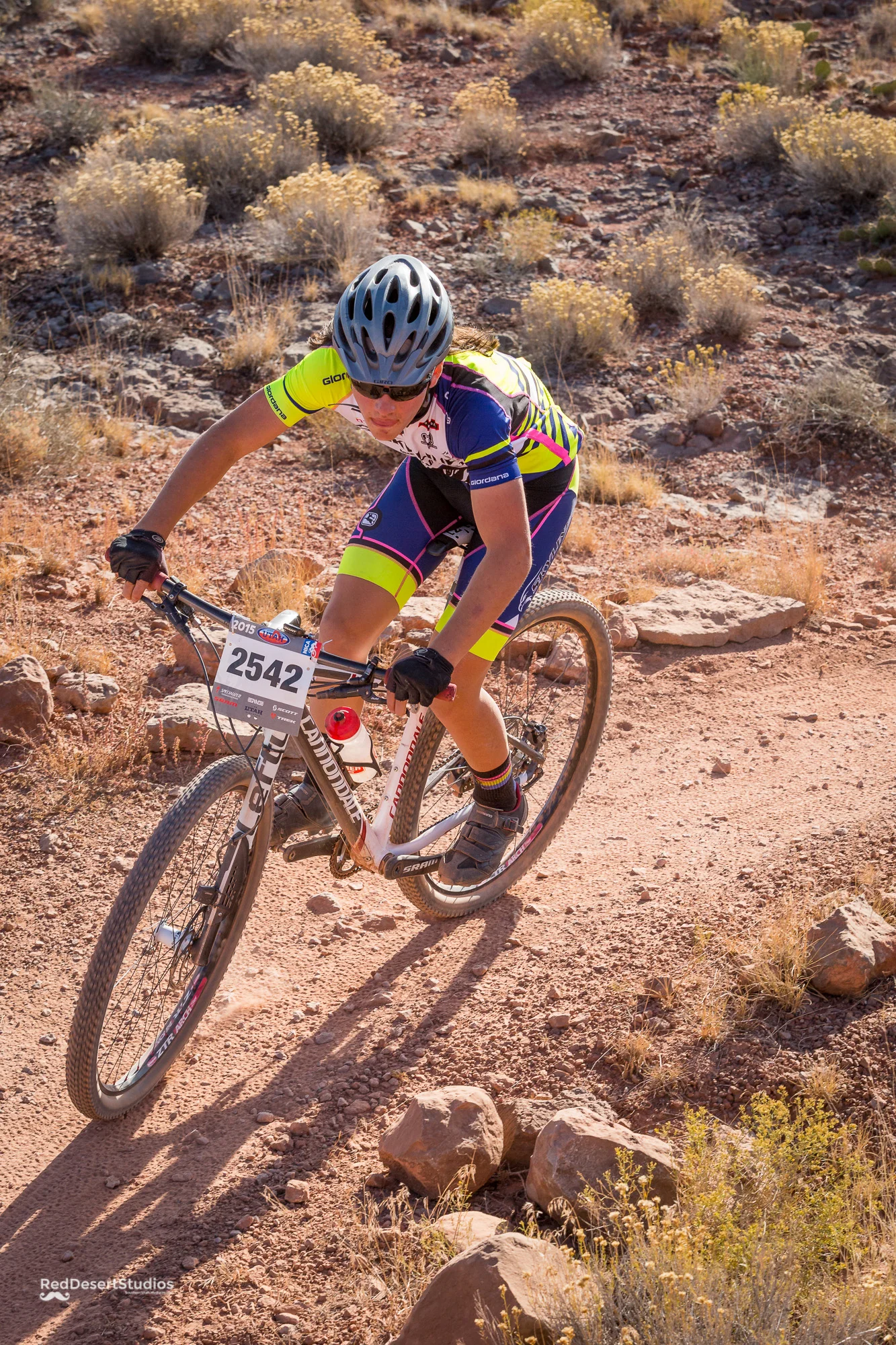 2542 Web (3 of 4).JPG