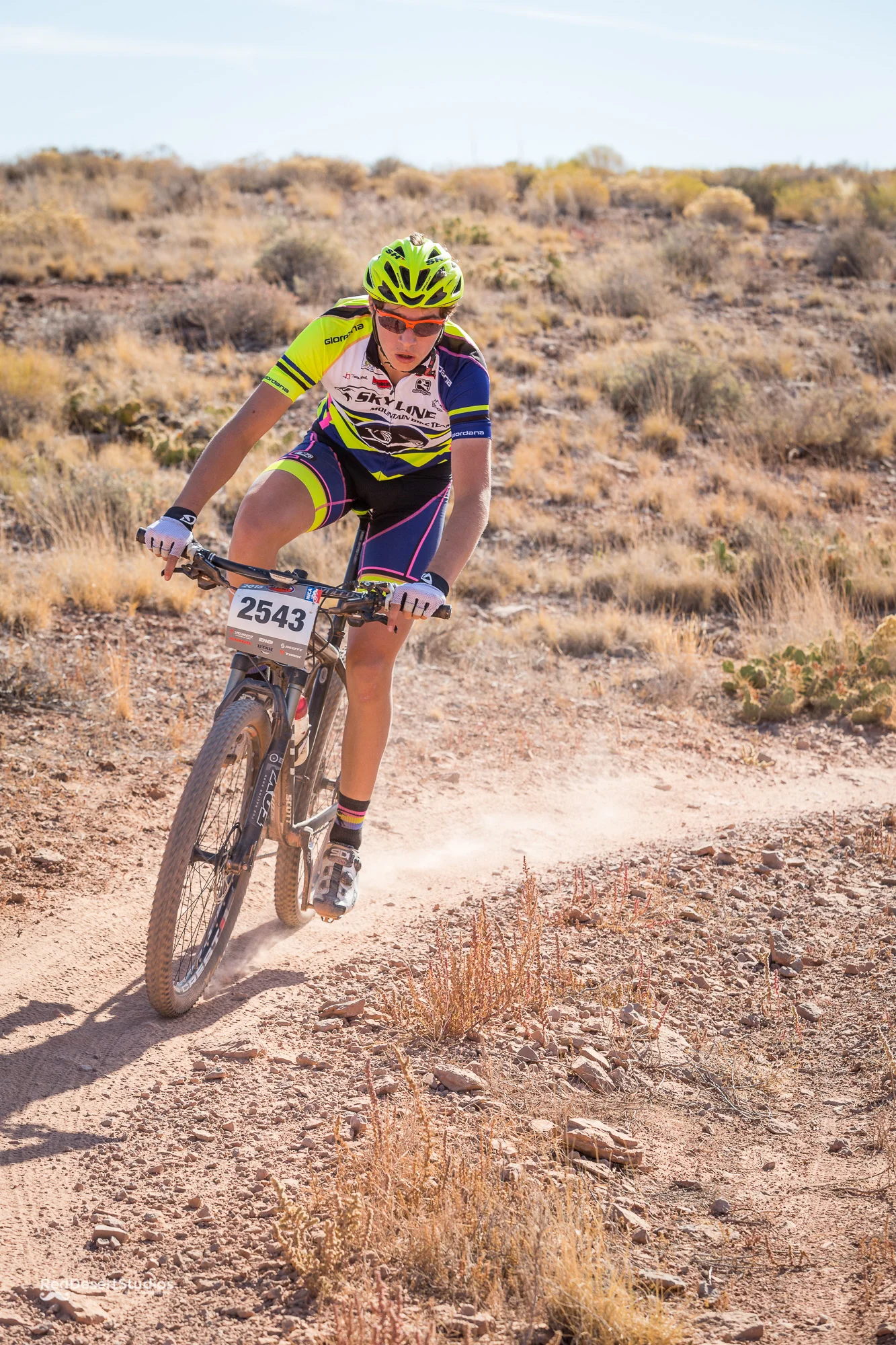 2543 Web (2 of 3).JPG