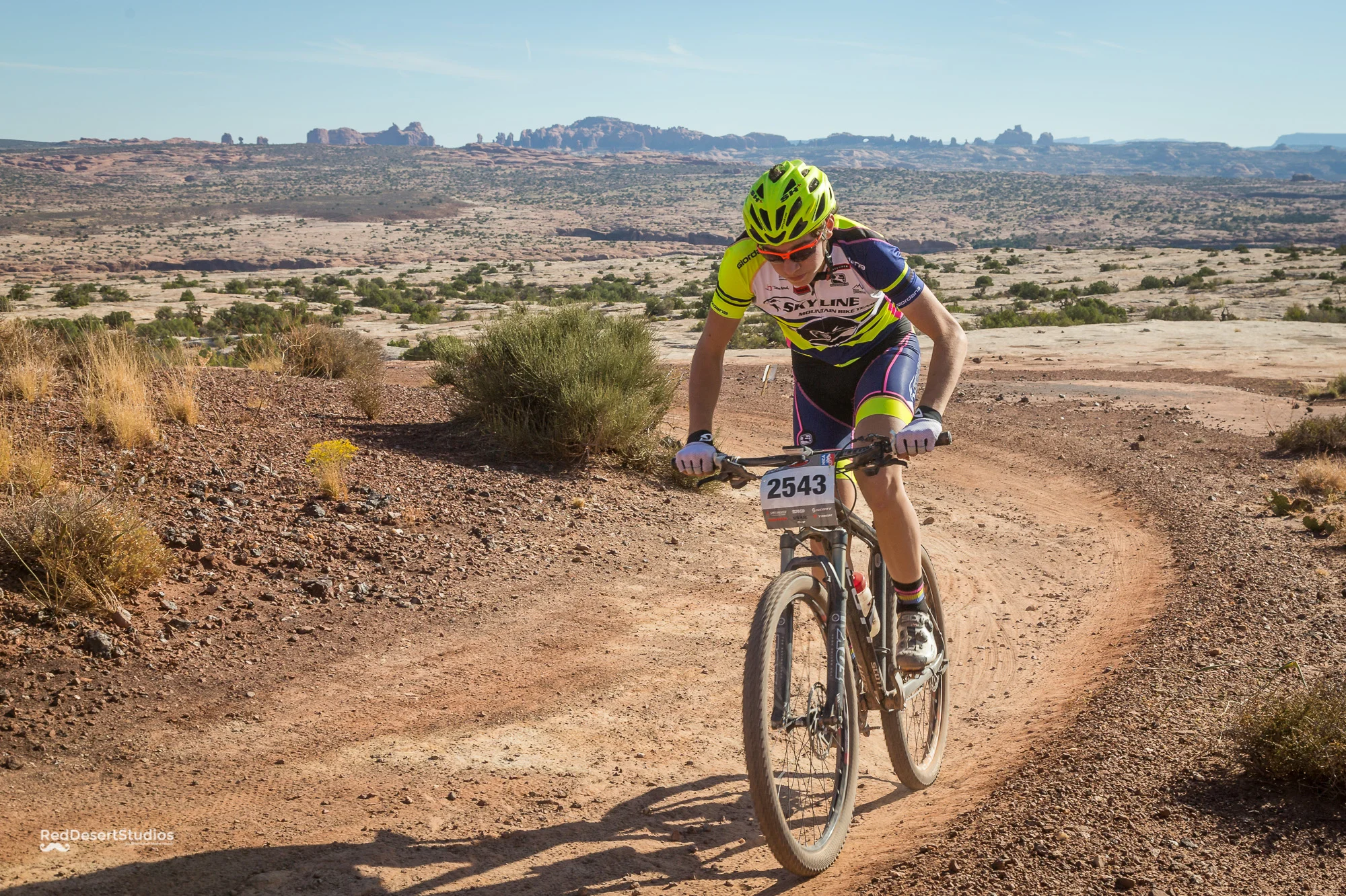 2543 Web (3 of 3).JPG