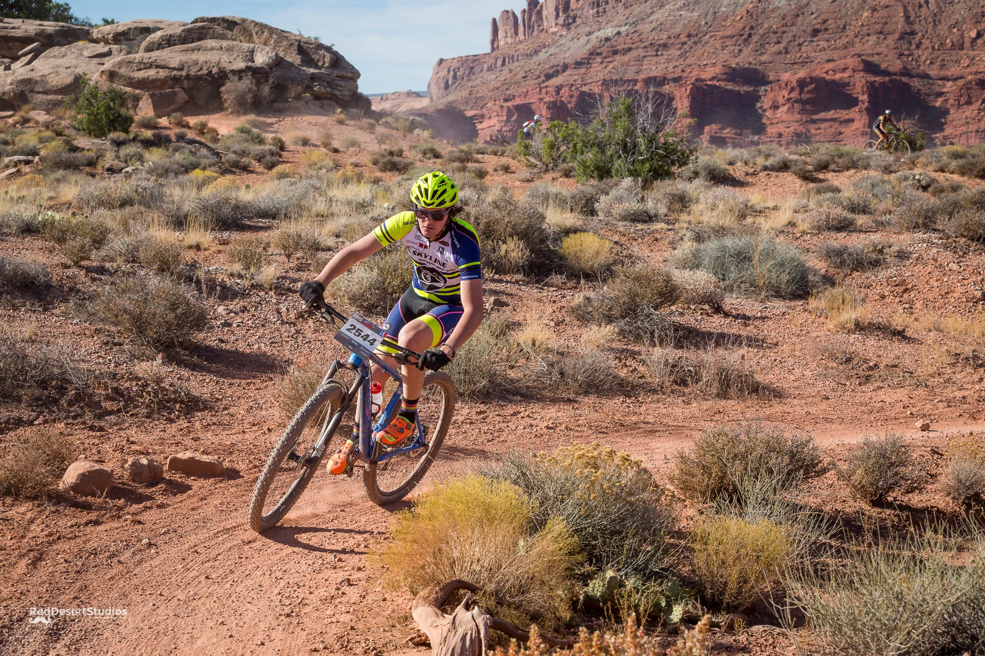 2544 Web (2 of 3).JPG