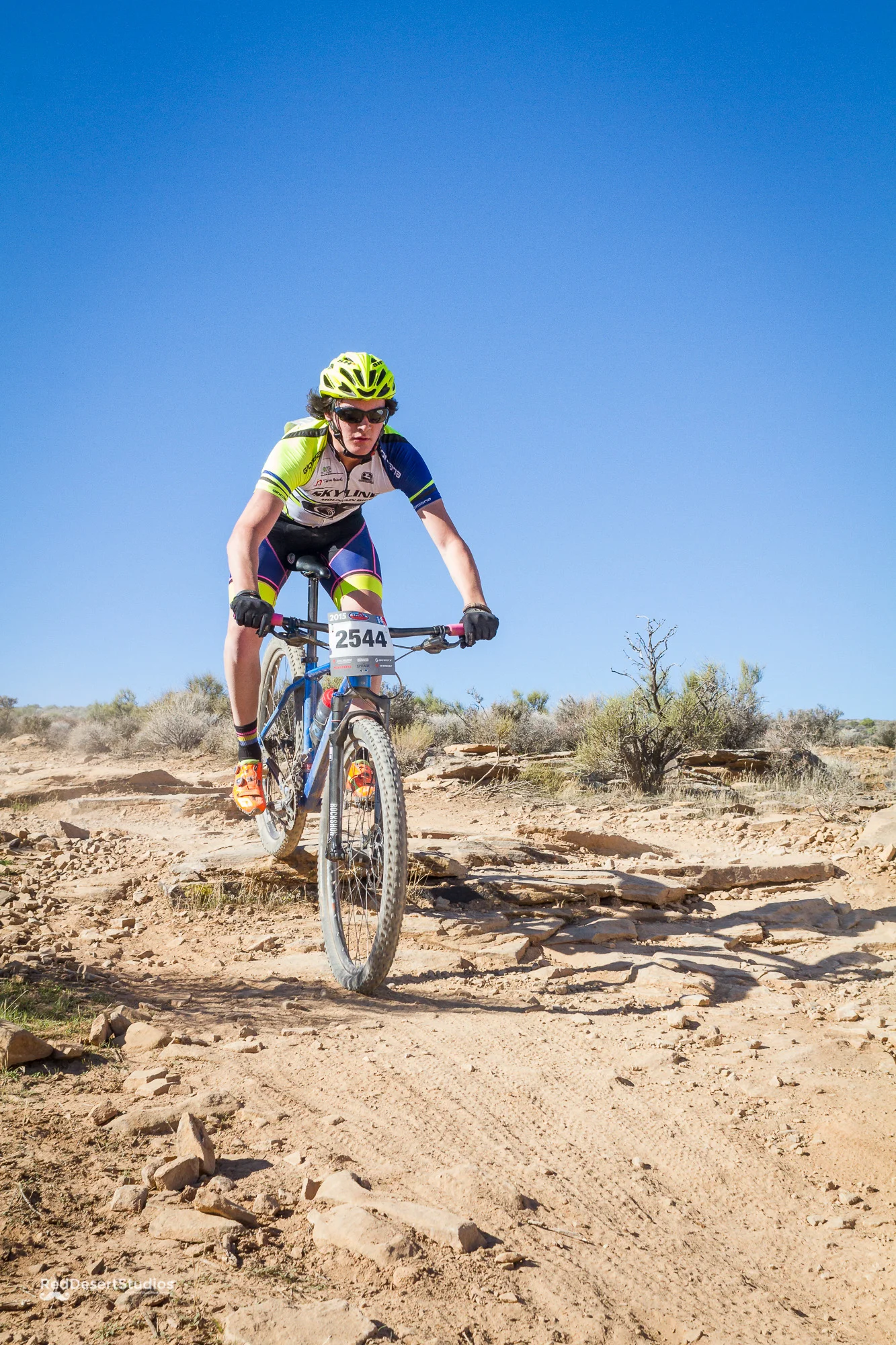 2544 Web (3 of 3).JPG