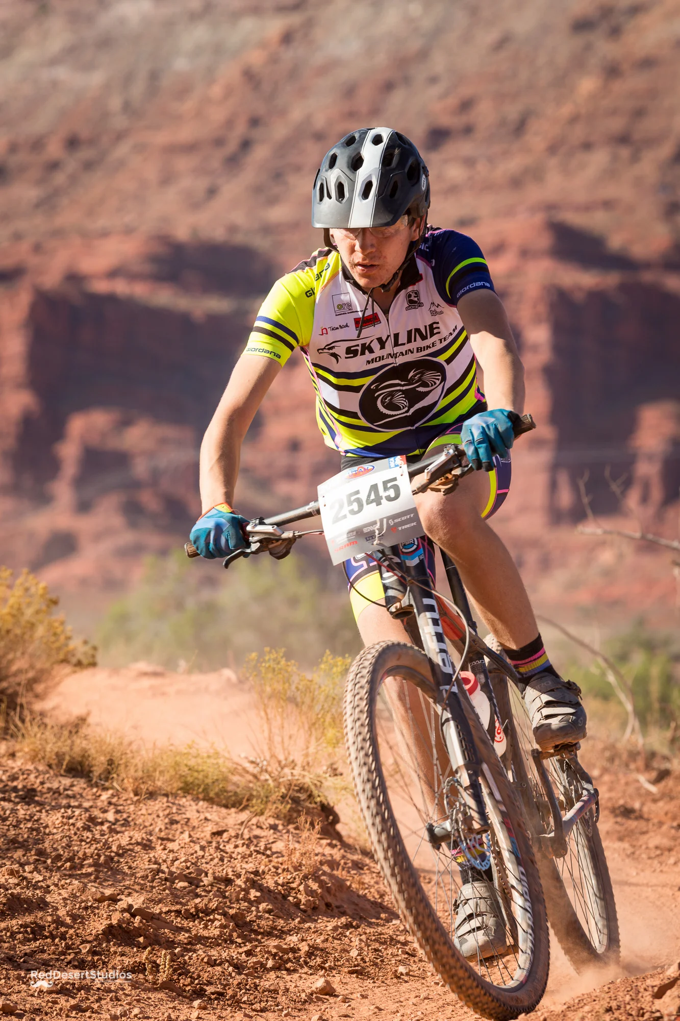 2545 Web (4 of 6).JPG