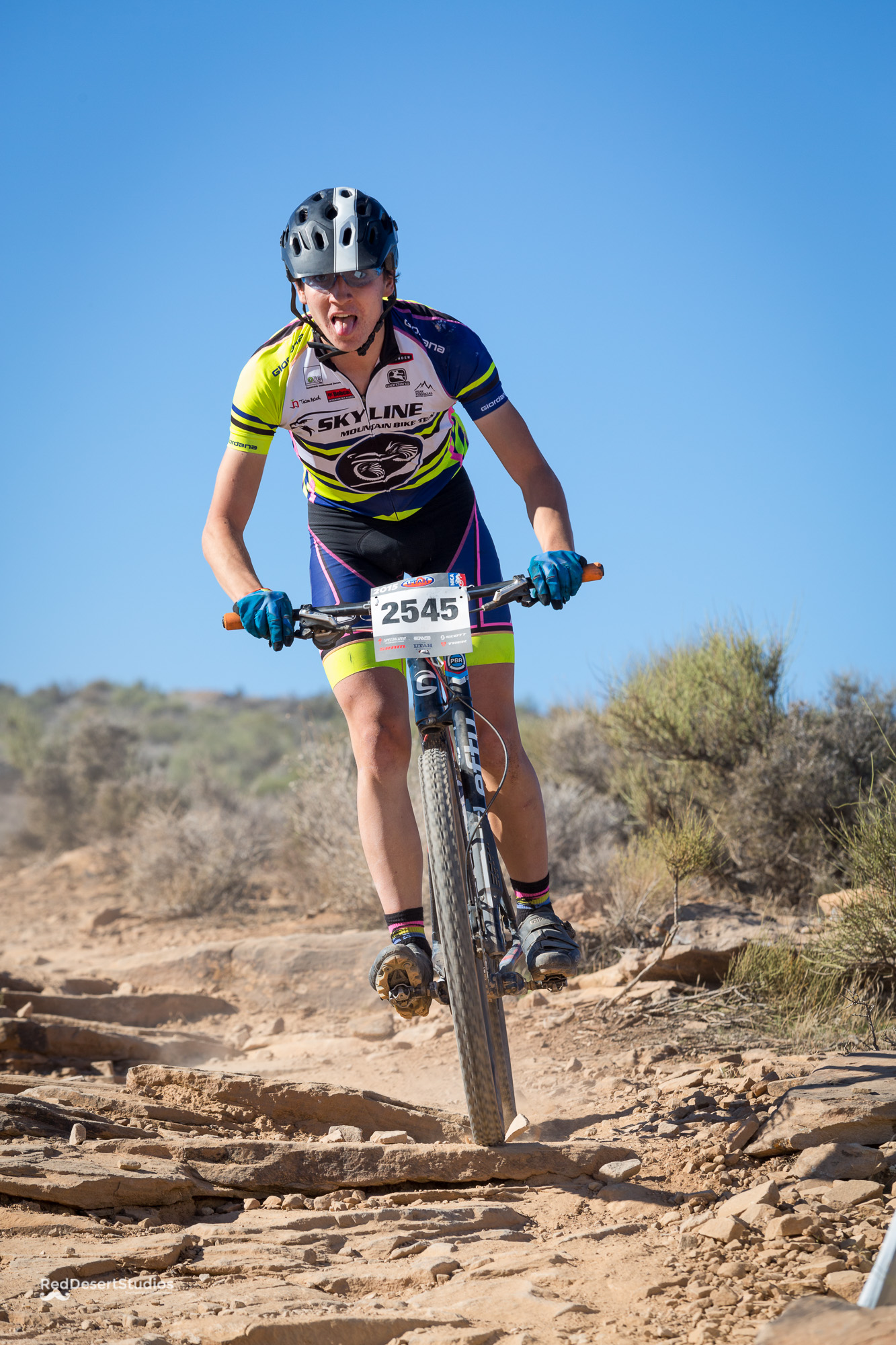 2545 Web (5 of 6).JPG