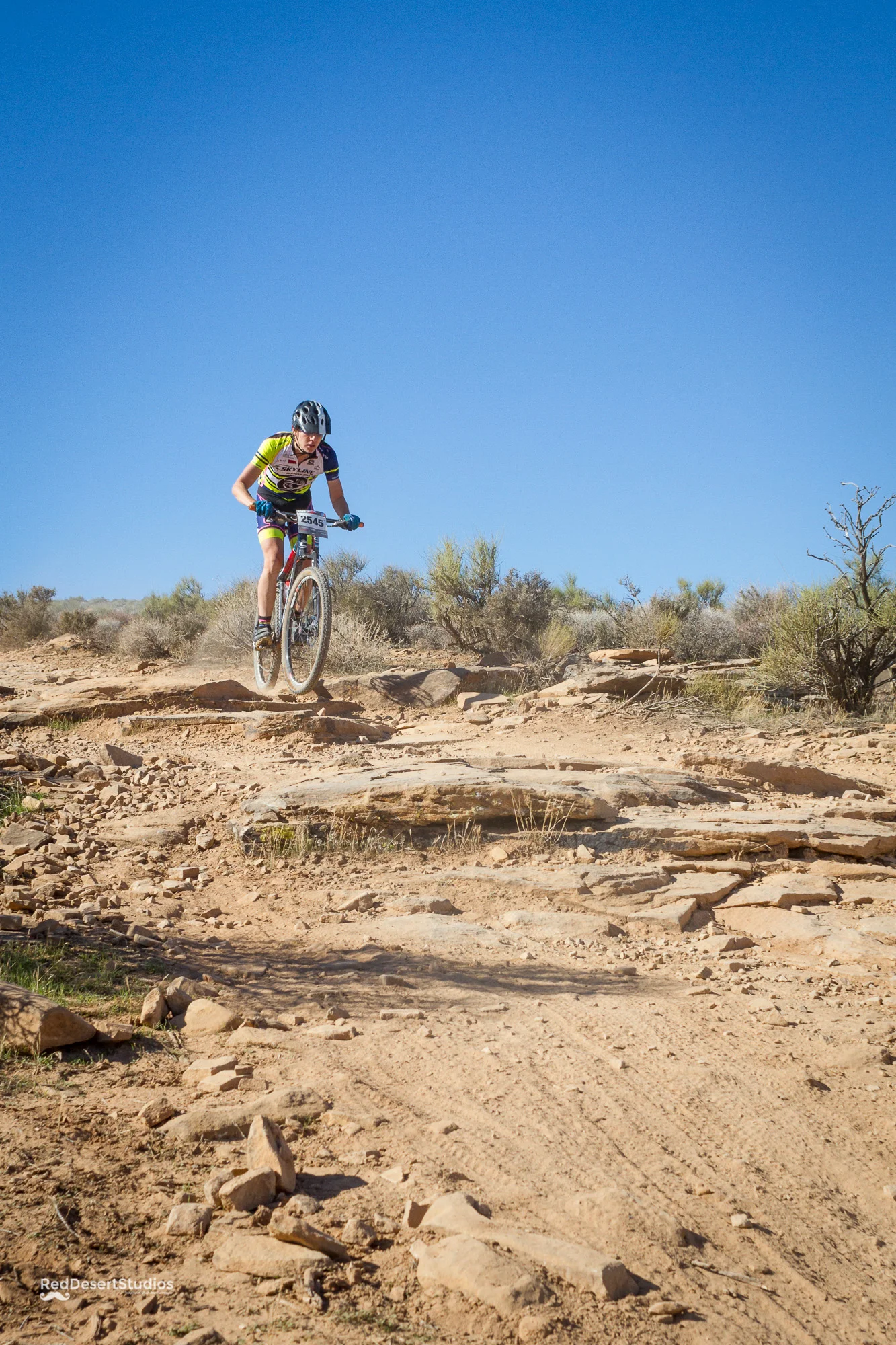 2545 Web (6 of 6).JPG