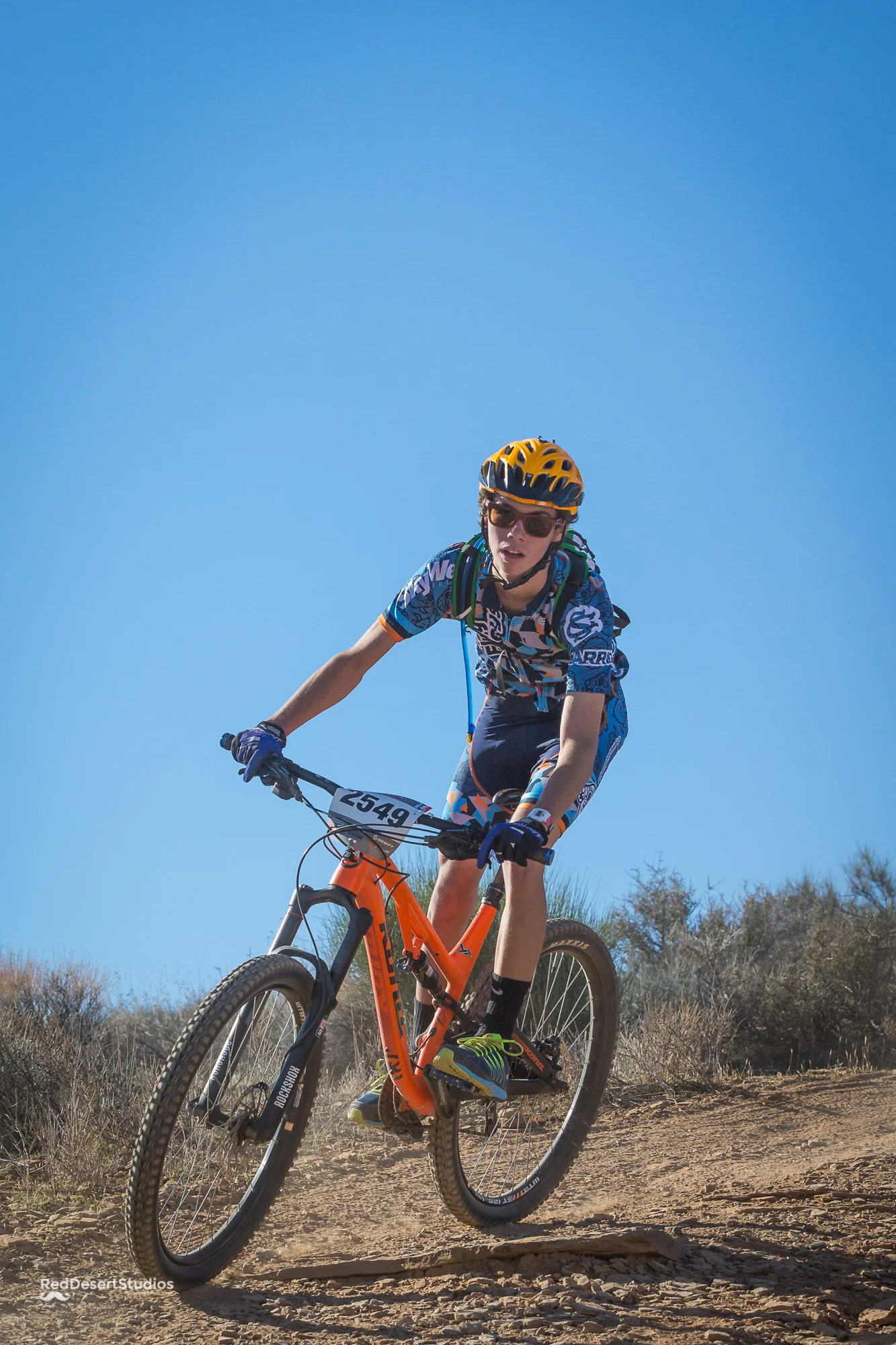 2549 Web (3 of 3).JPG