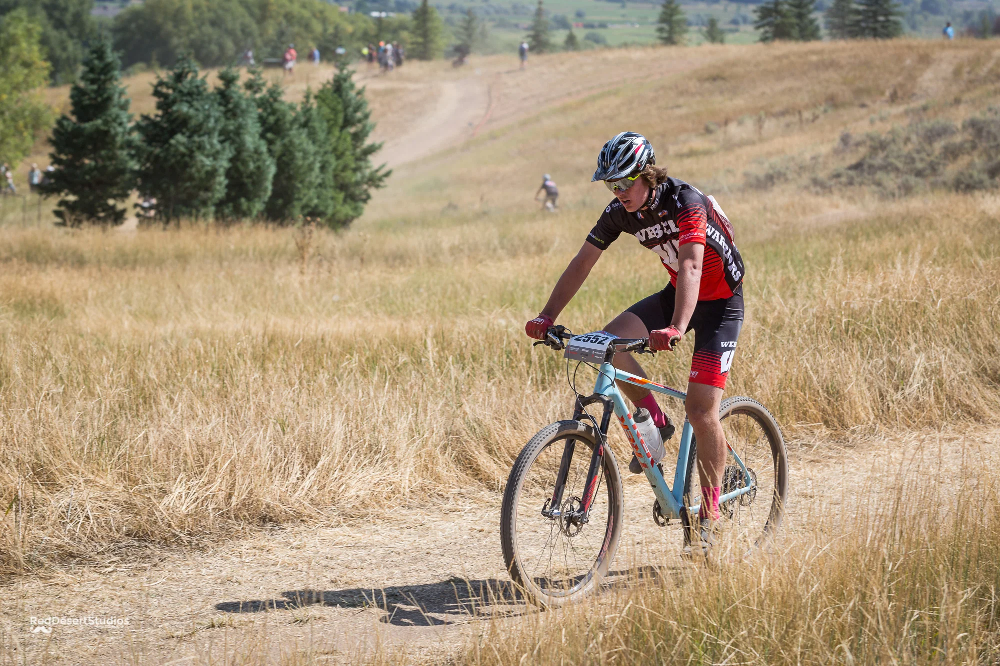 2552 Web (2 of 9).JPG