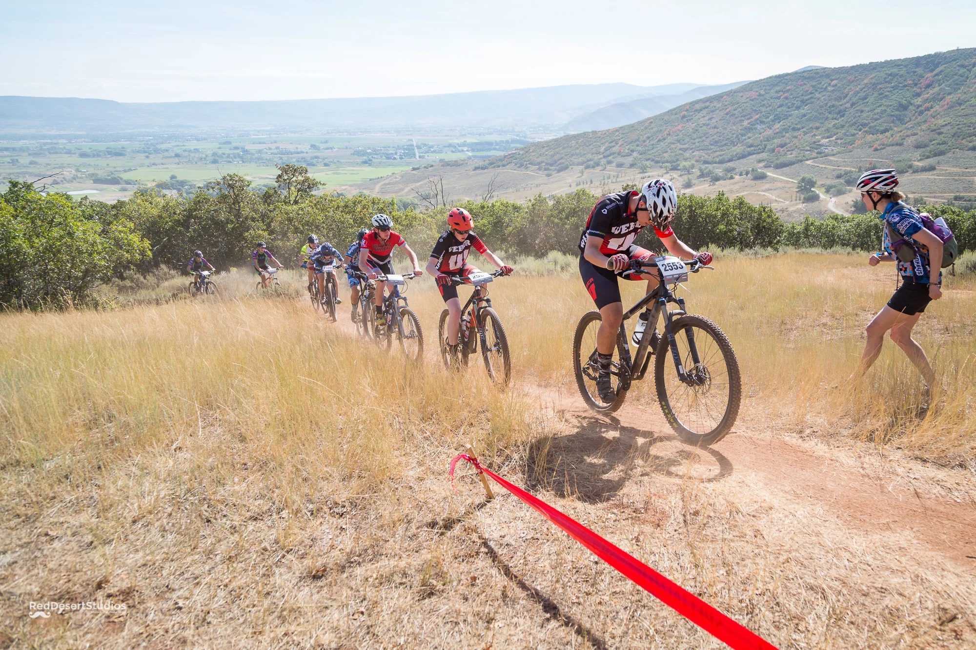 2553 Web (1 of 6).JPG