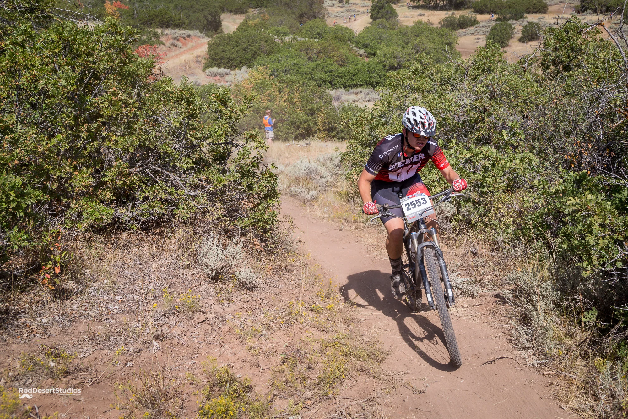 2553 Web (2 of 6).JPG