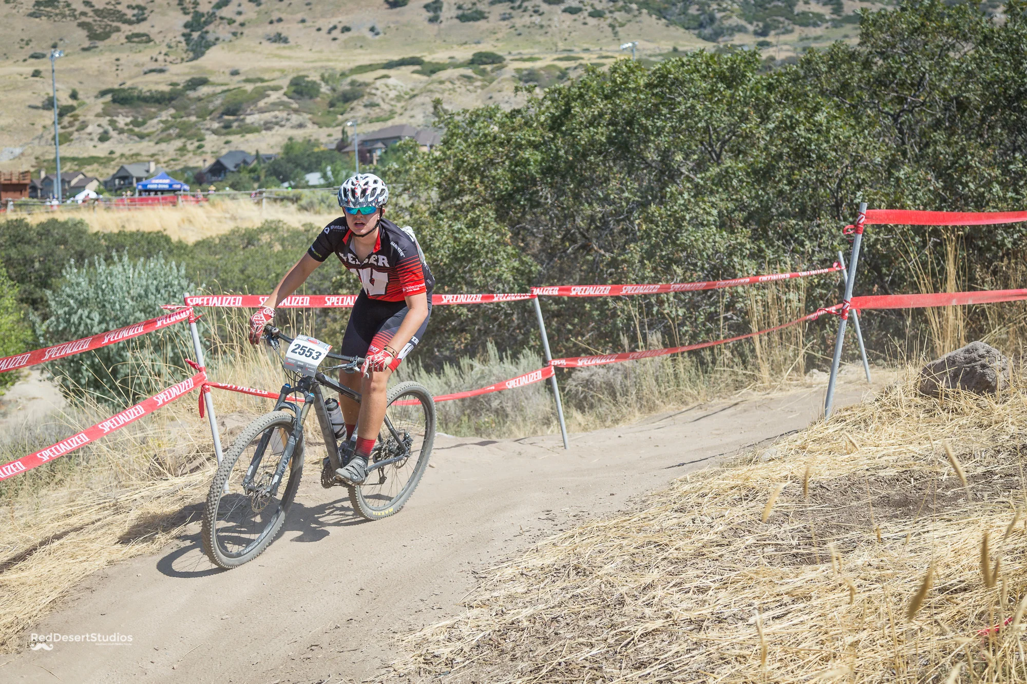 2553 Web (3 of 6).JPG