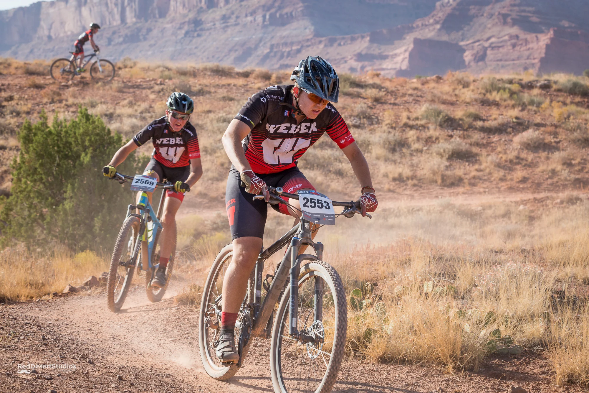 2553 Web (4 of 6).JPG