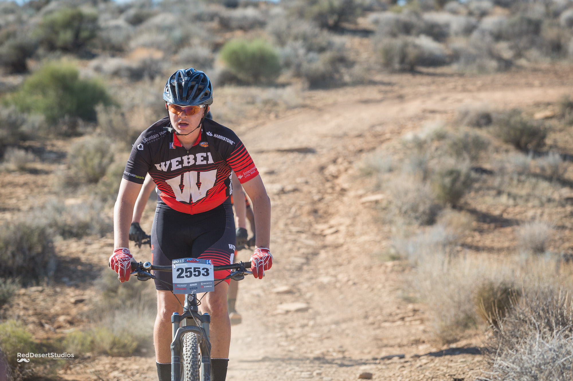 2553 Web (5 of 6).JPG