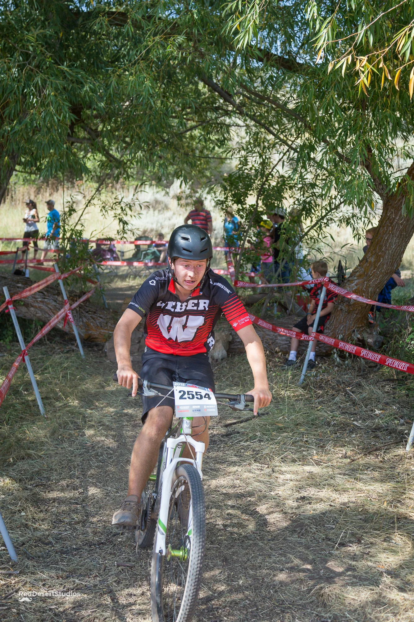 2554 Web (2 of 5).JPG