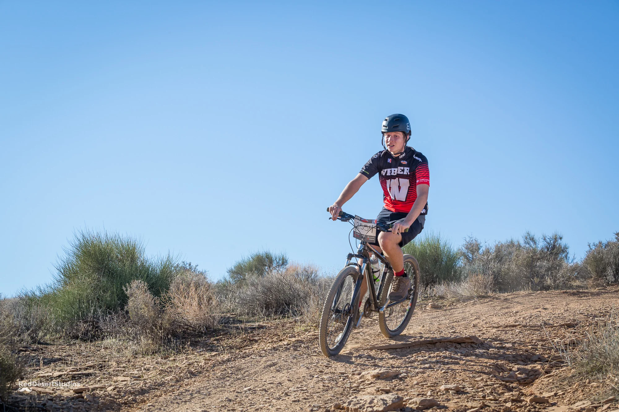 2554 Web (5 of 5).JPG