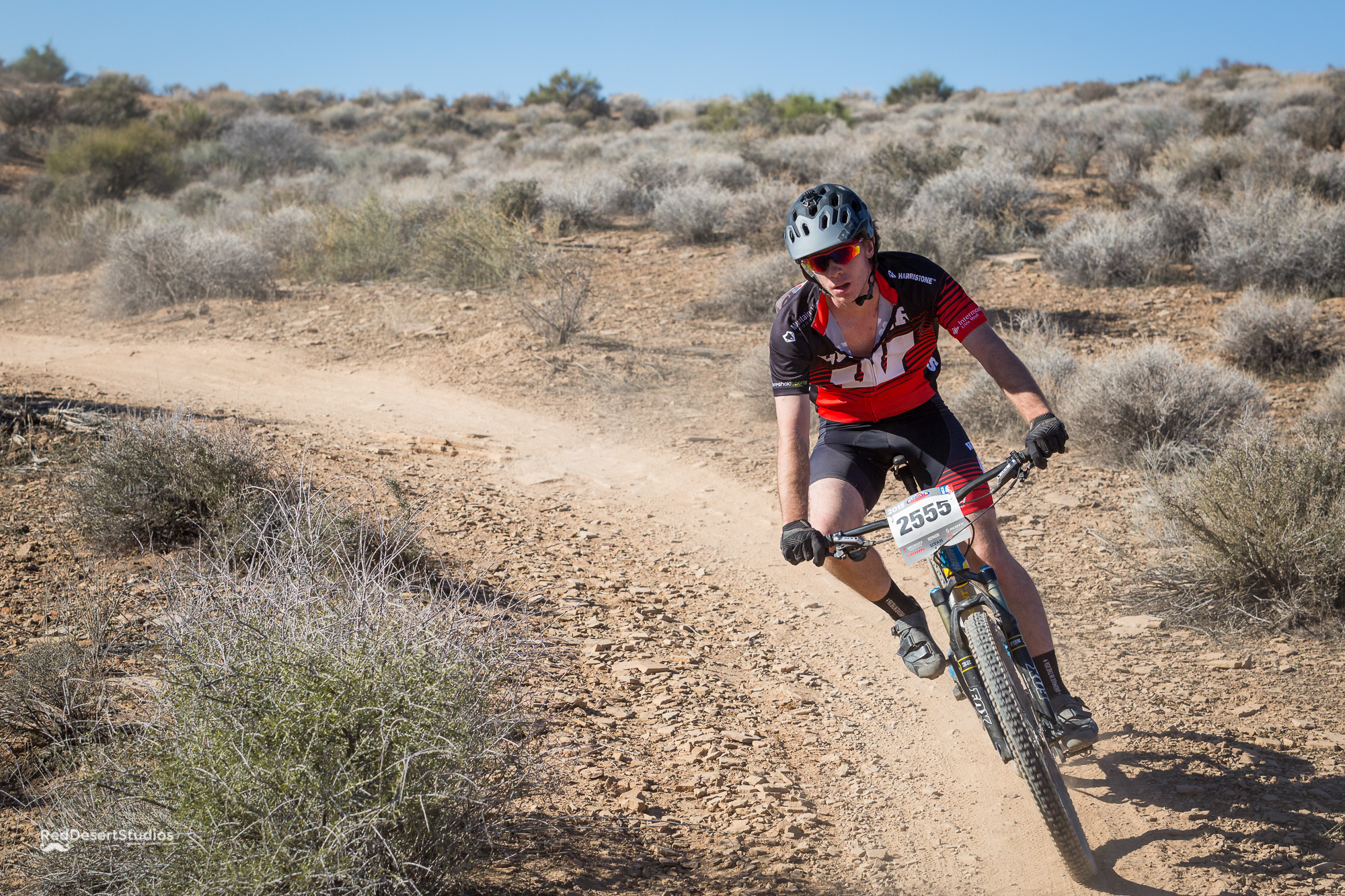 2555 Web (2 of 3).JPG