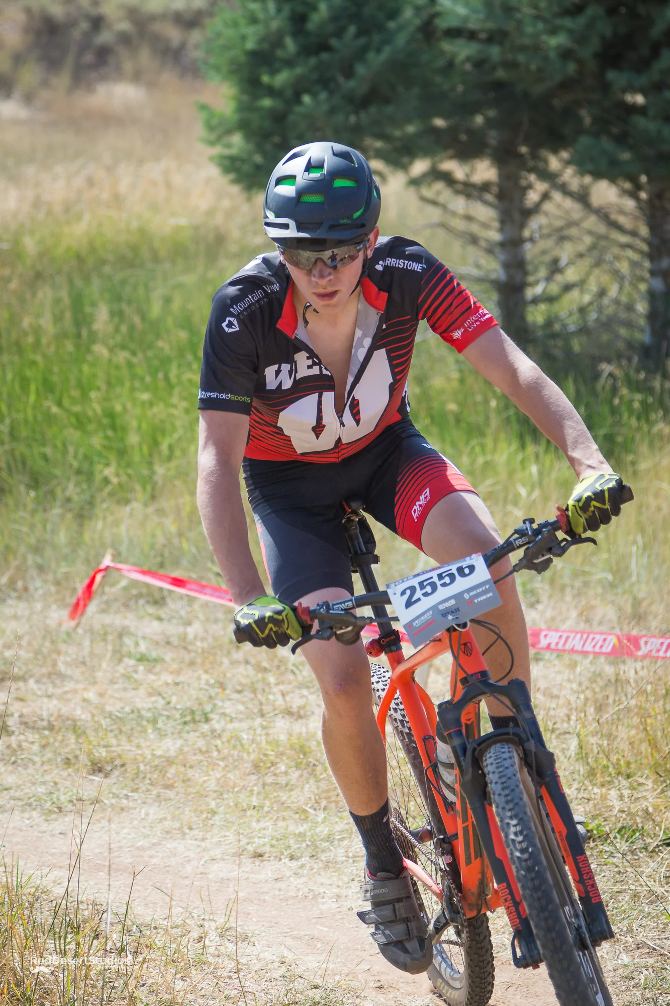 2556 Web (2 of 6).JPG