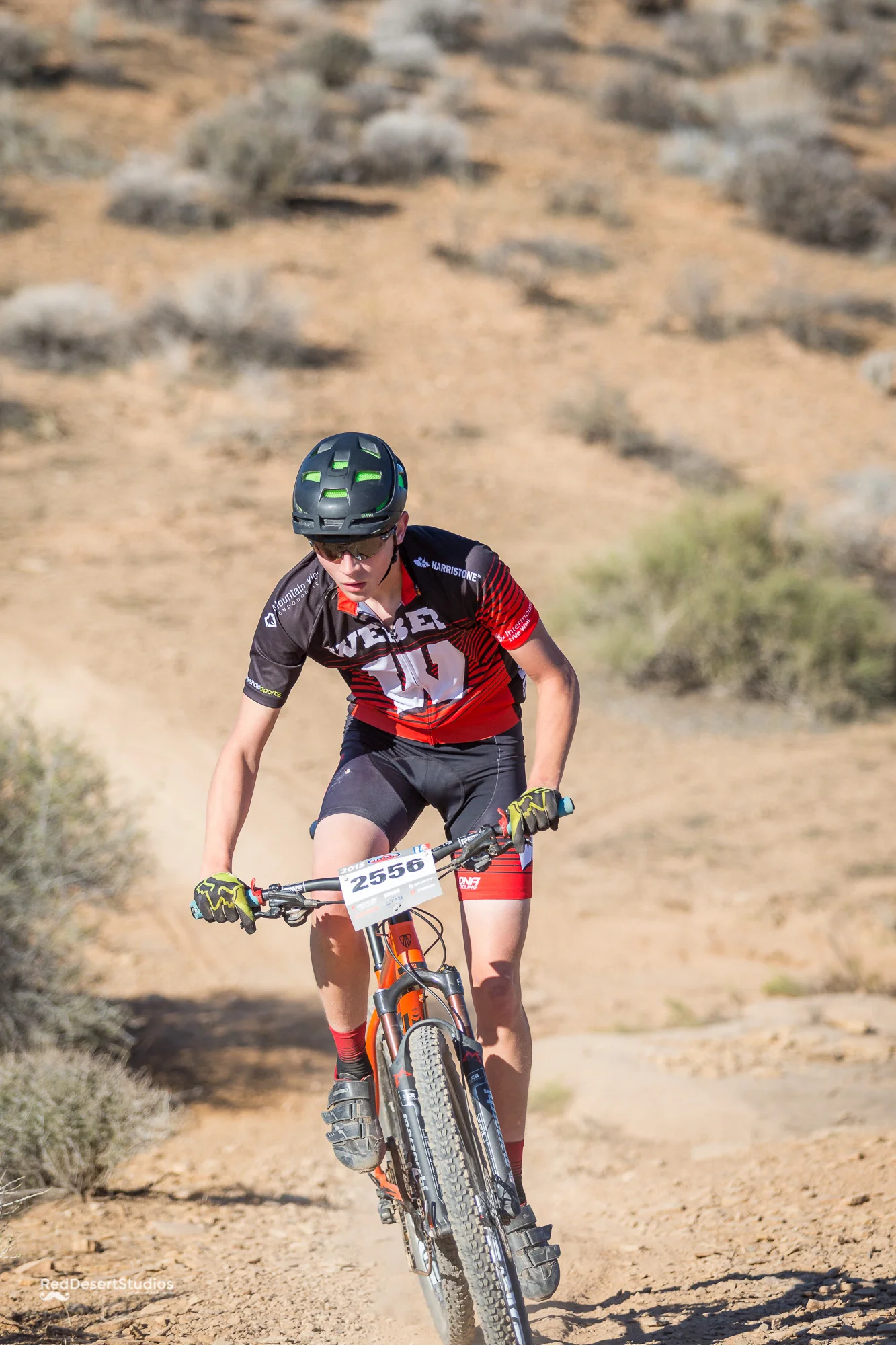 2556 Web (4 of 6).JPG